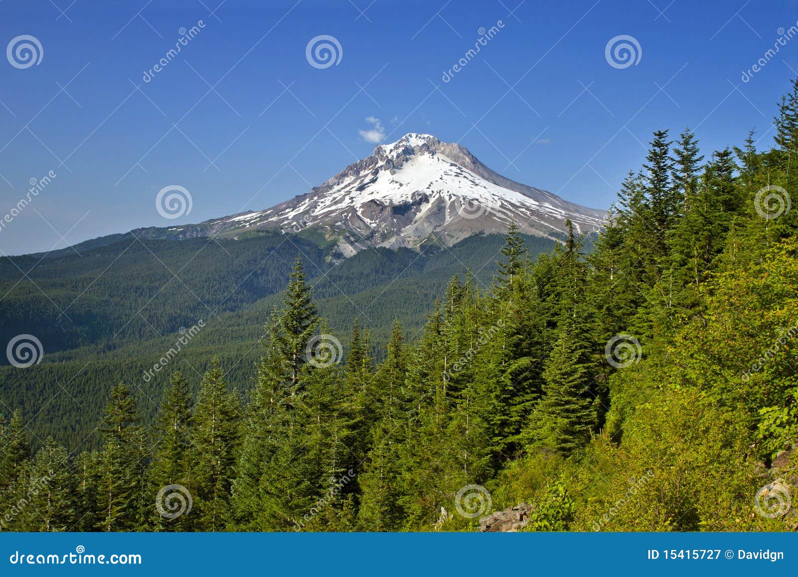 mt hood hiking trails