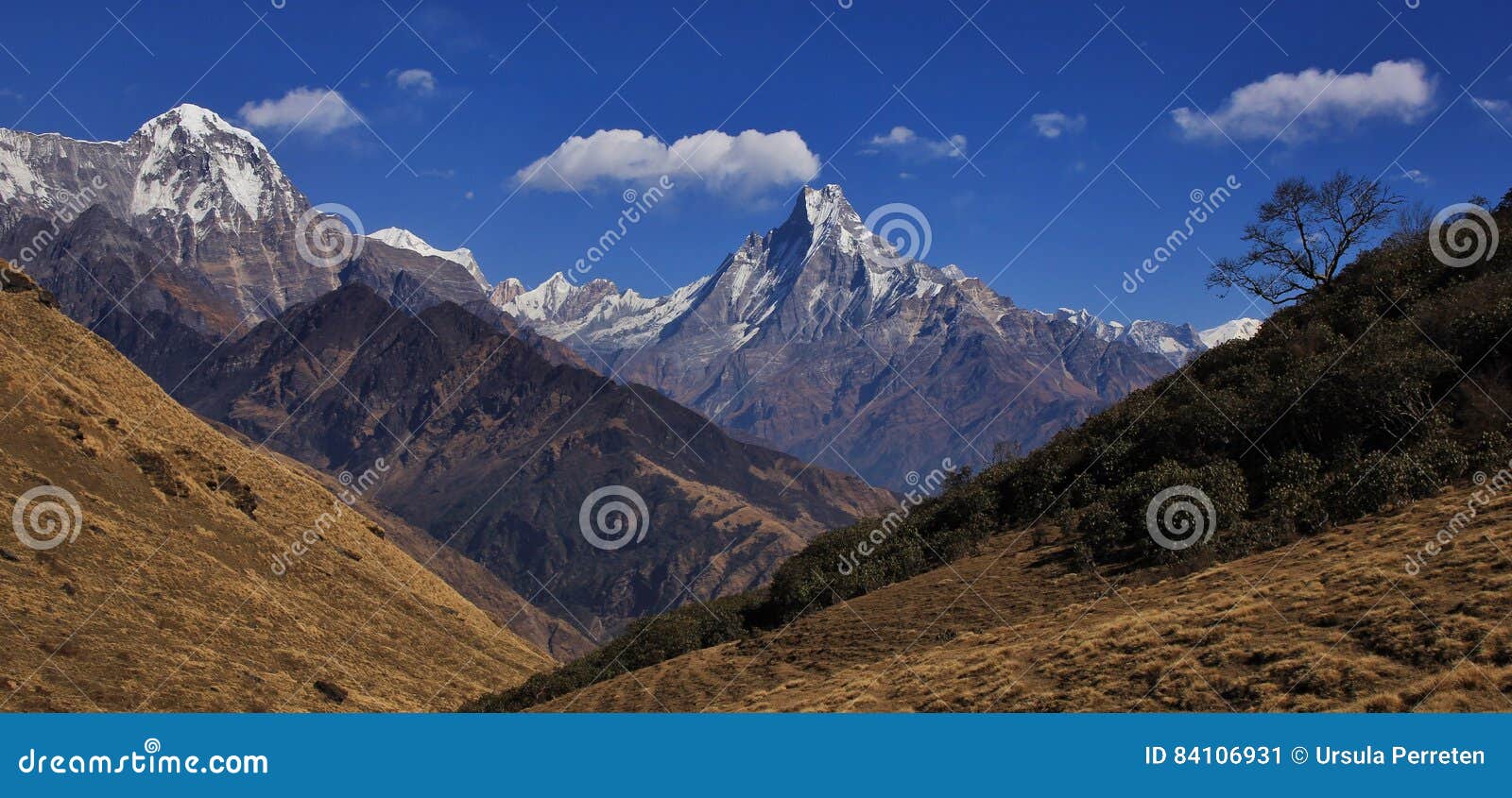 mount machapuchare and hiun chuli