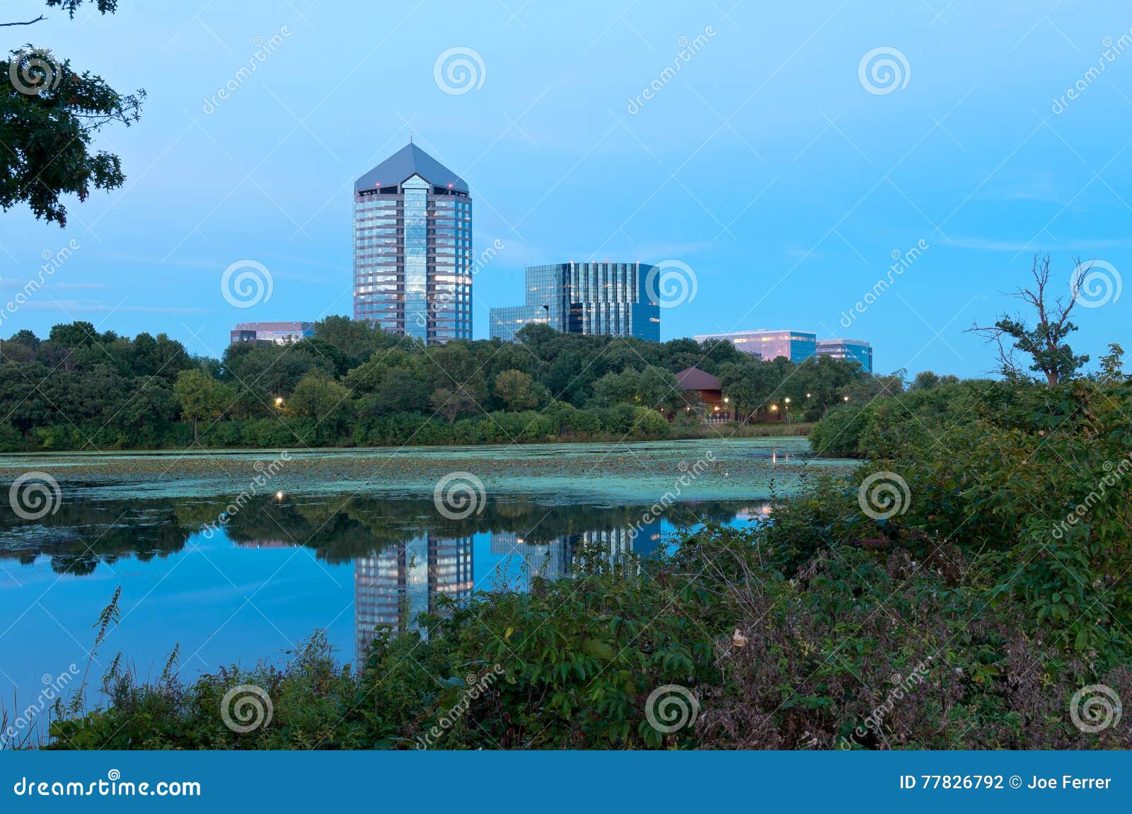 mount normandale lake and buildings