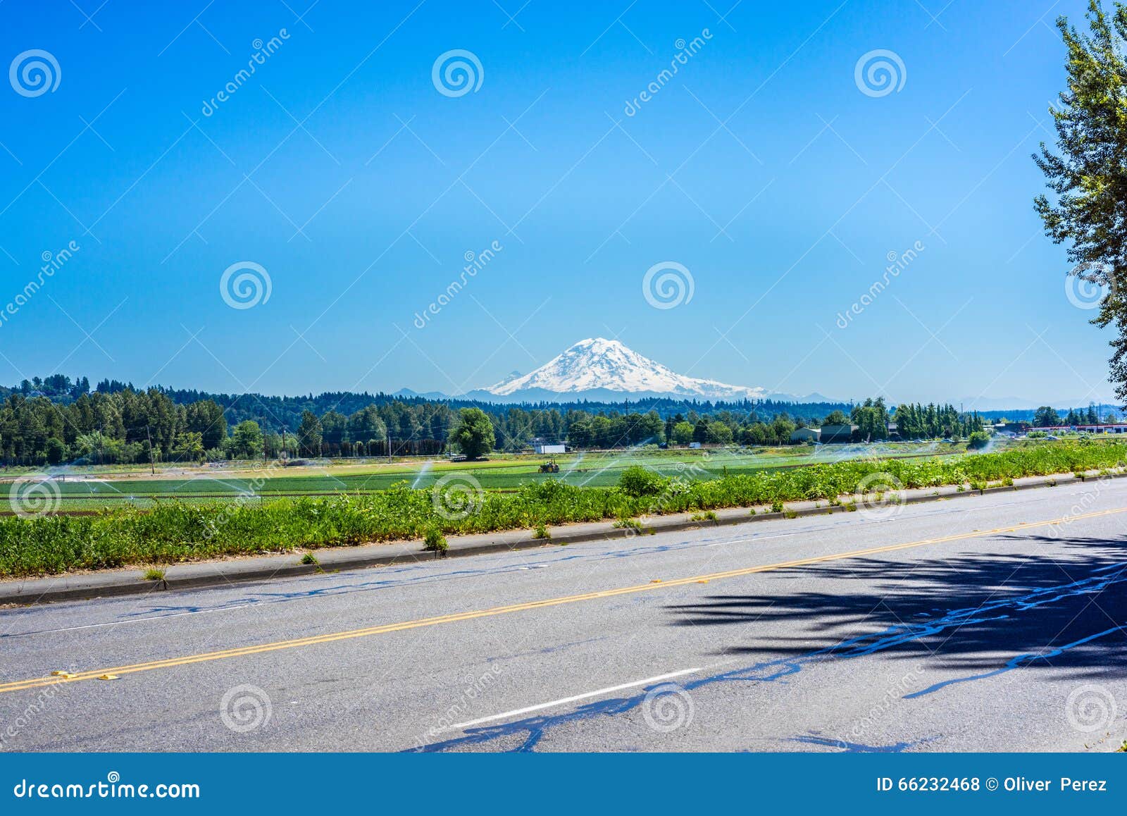 mount rainier from auburn valley