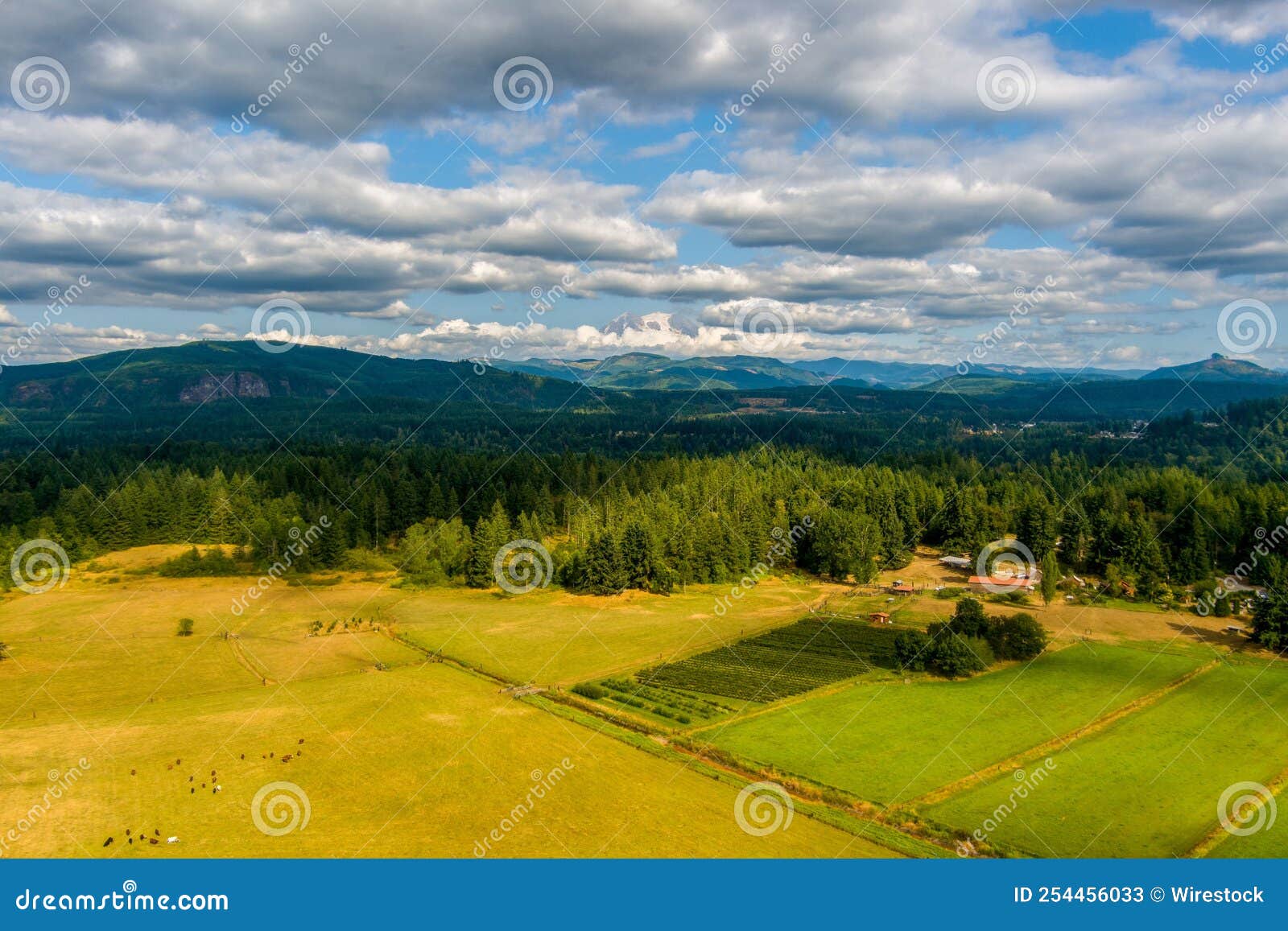 Mount Rainier on the Horizon in August Stock Image Image of landmark