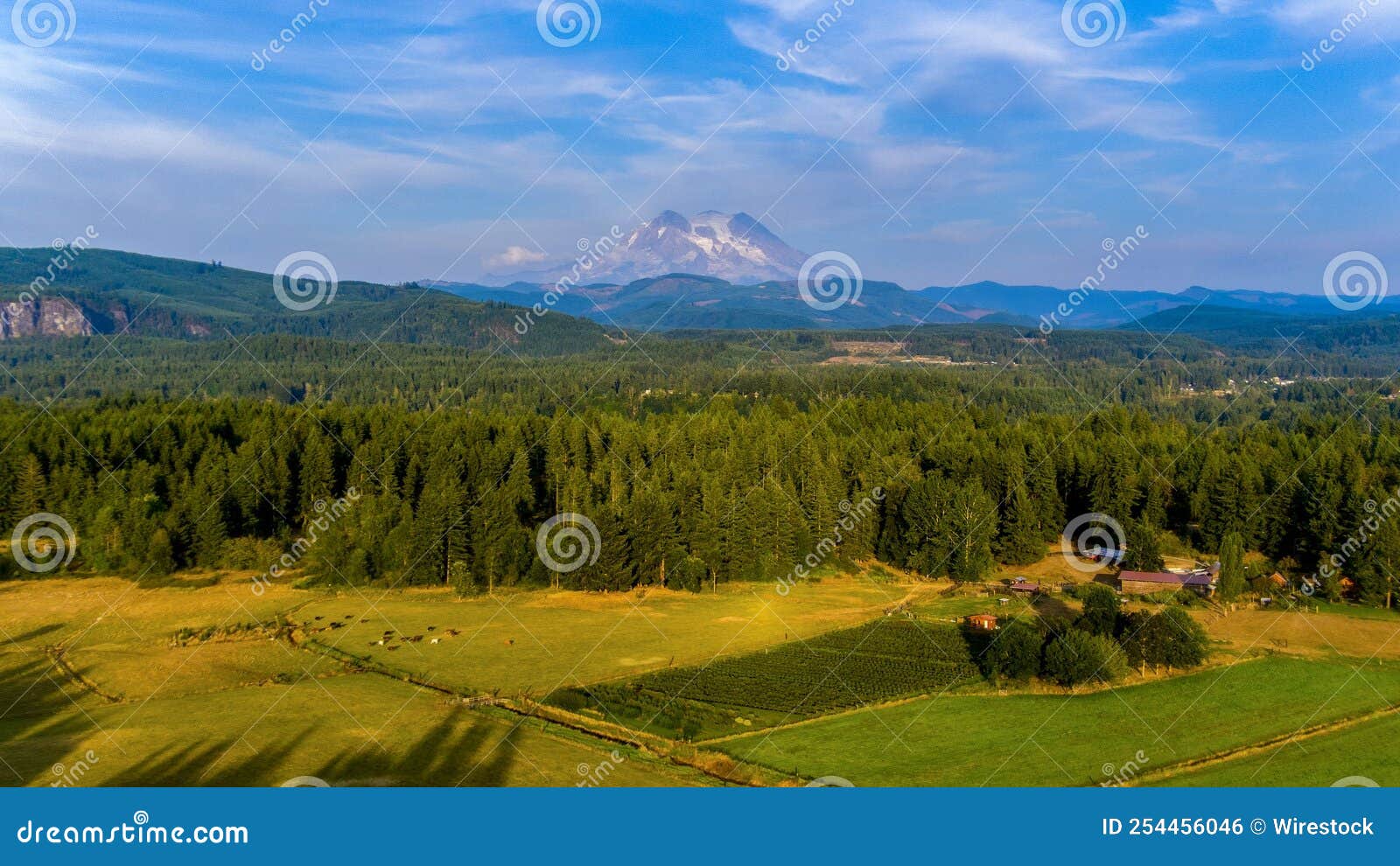 Mount Rainier on the Horizon in August Stock Photo Image of volcano