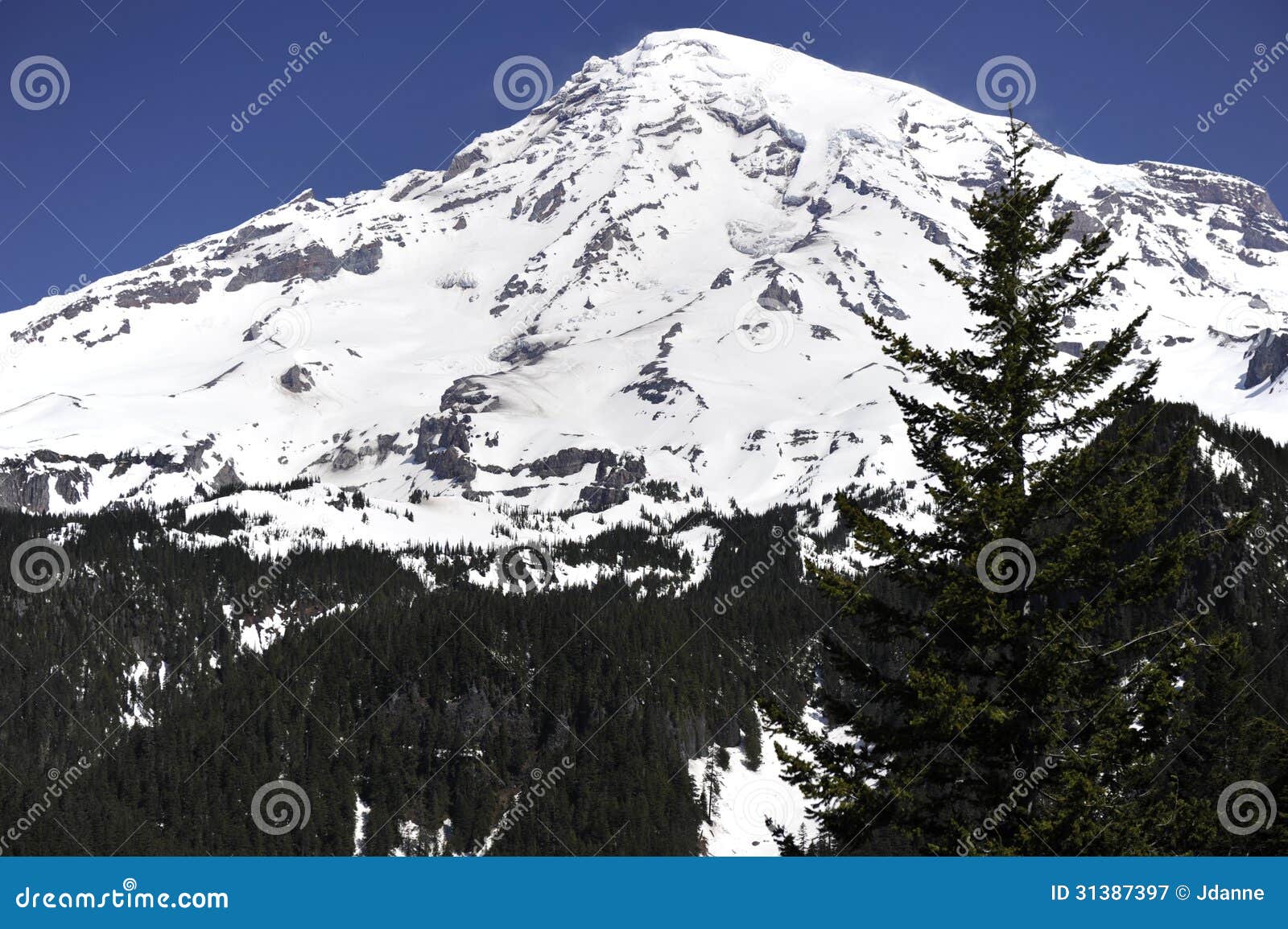 Mount Rainier, South Side, Near Seattle, USA Stock Image Image of