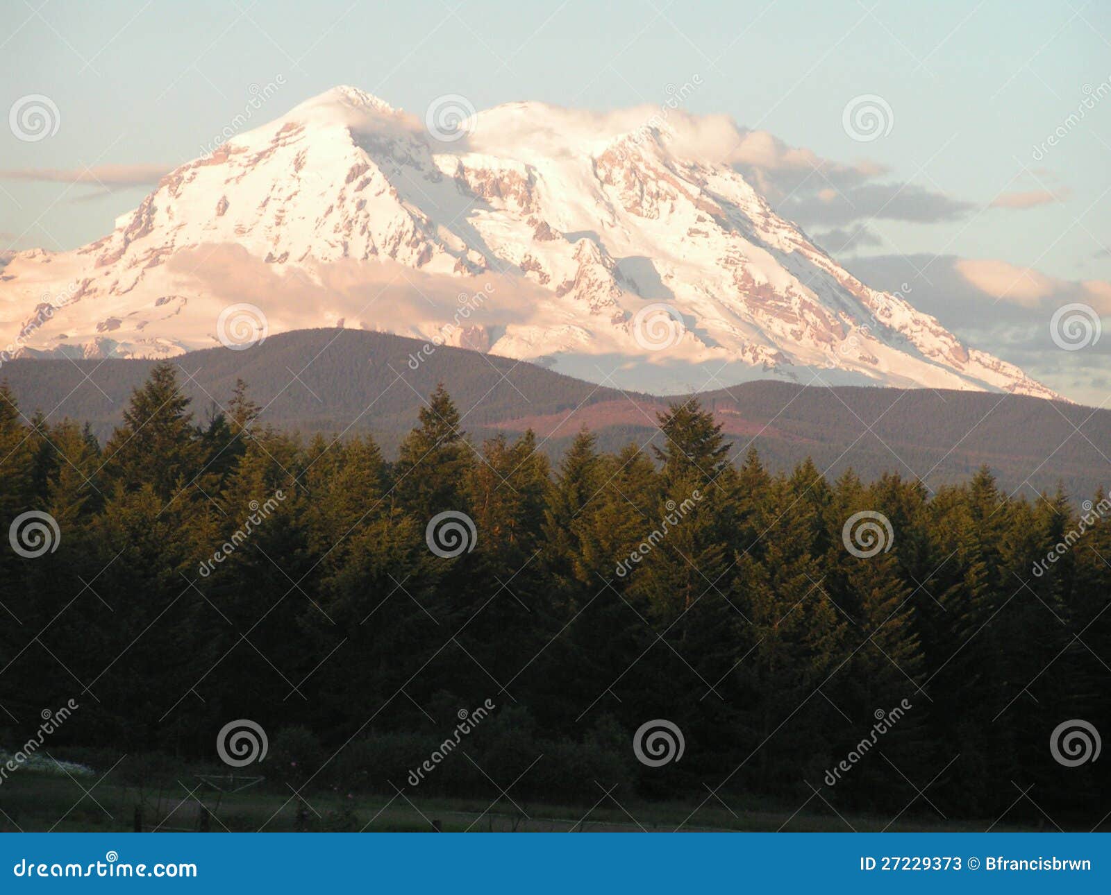 Mount Rainier, WA on a Sunny Day Stock Image Image of card, geology