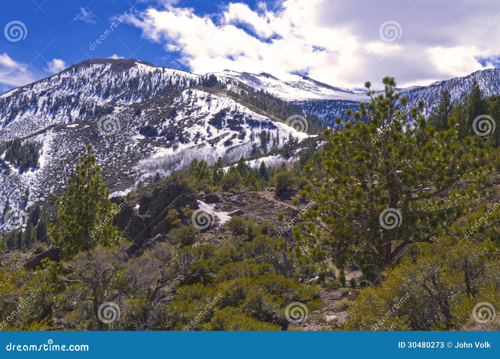 Mount Rose stock image. Image of ponderosa, rose, snow 30480273