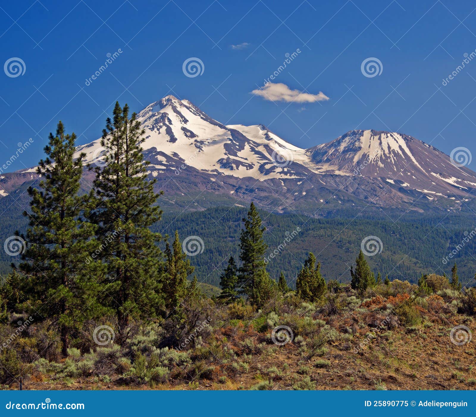 mount shasta, cascade mountains, california