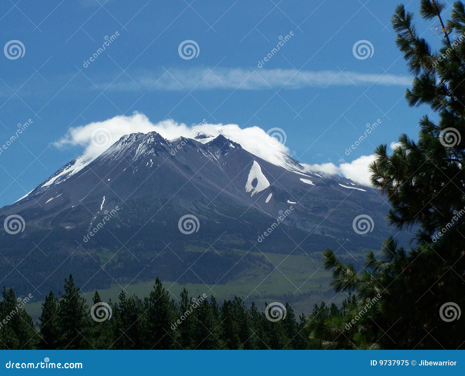 Mount Shasta Vista Picture. Image 9737975