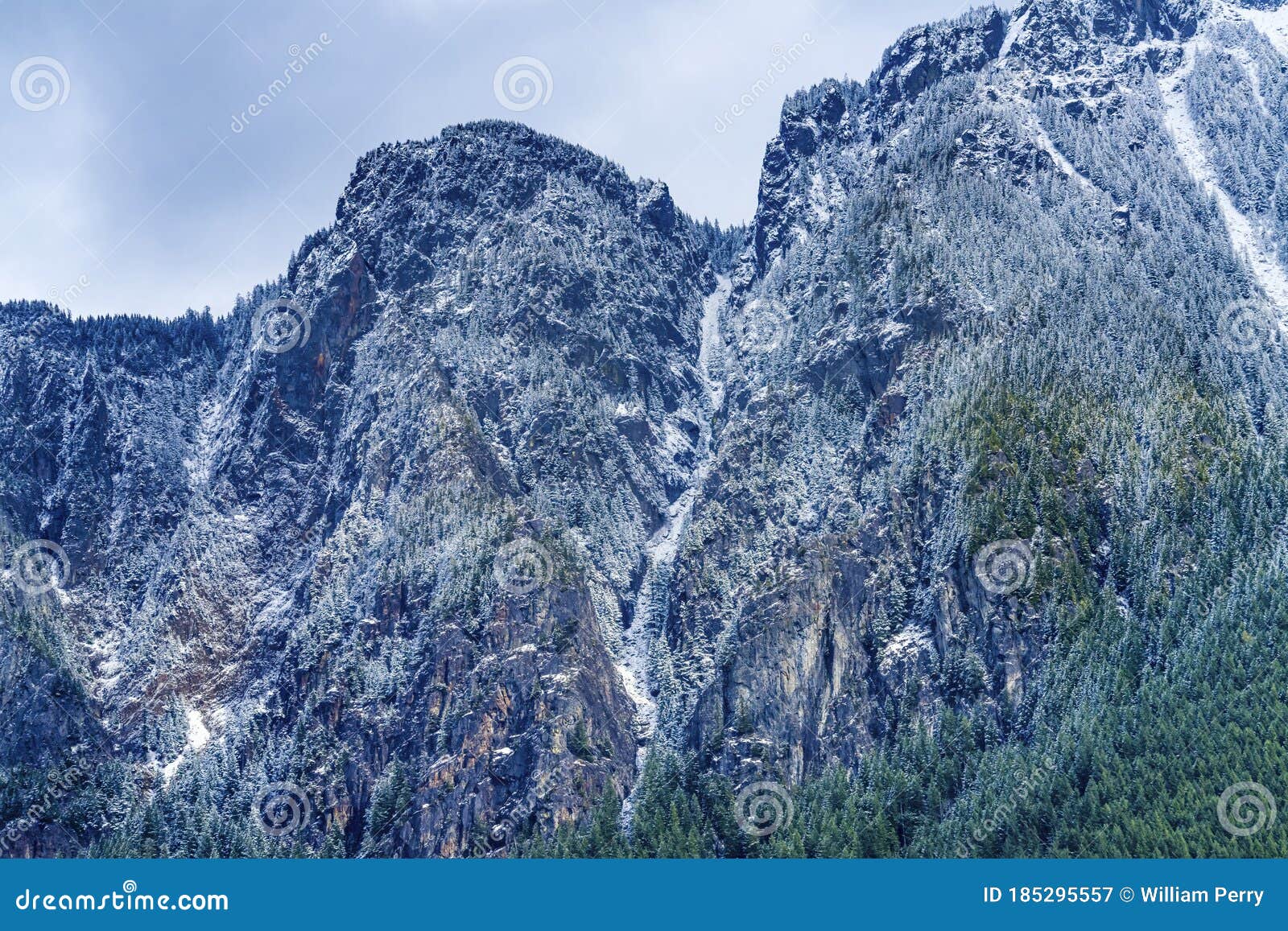 Mount Si Snow Evergreen Forest North Bend Washington Stock Image