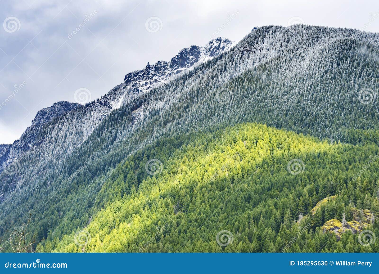 Mount Si Snow Evergreen North Bend Washington Stock Photo Image of