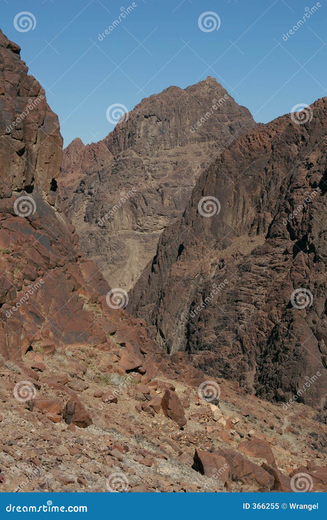 mount sinai