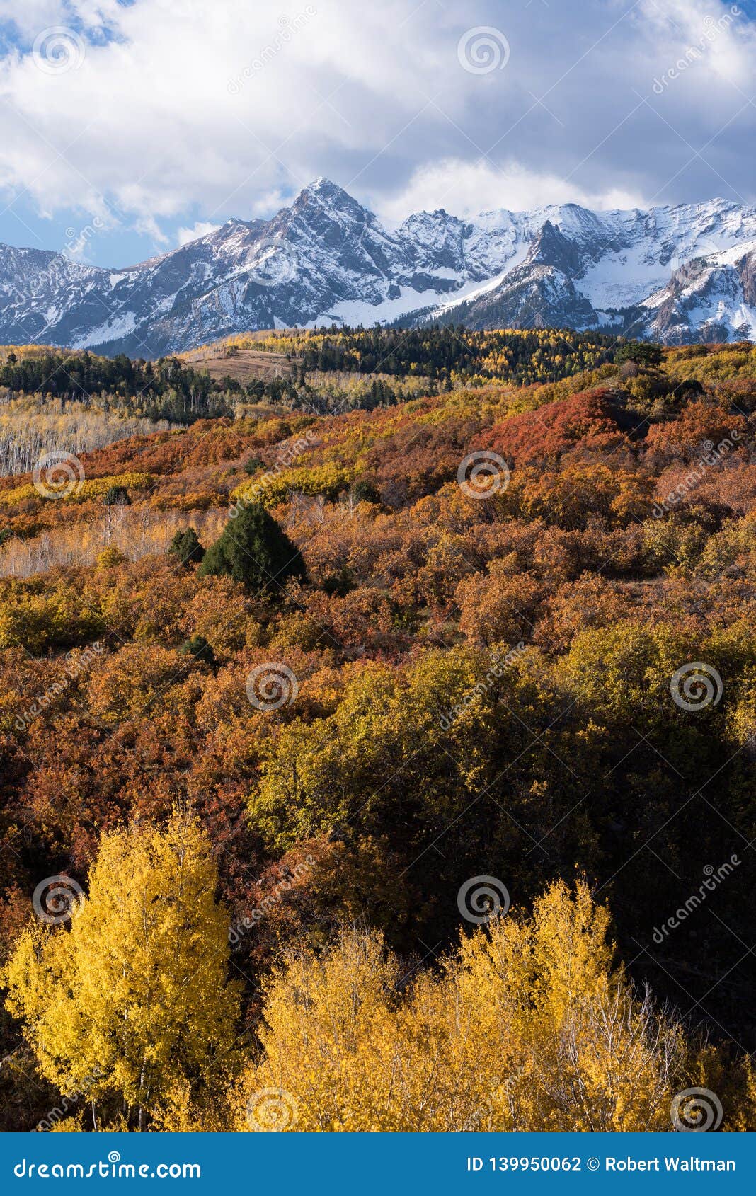 dallas divide view of the mount sneffels range within the uncompahgre national forest, colorado.