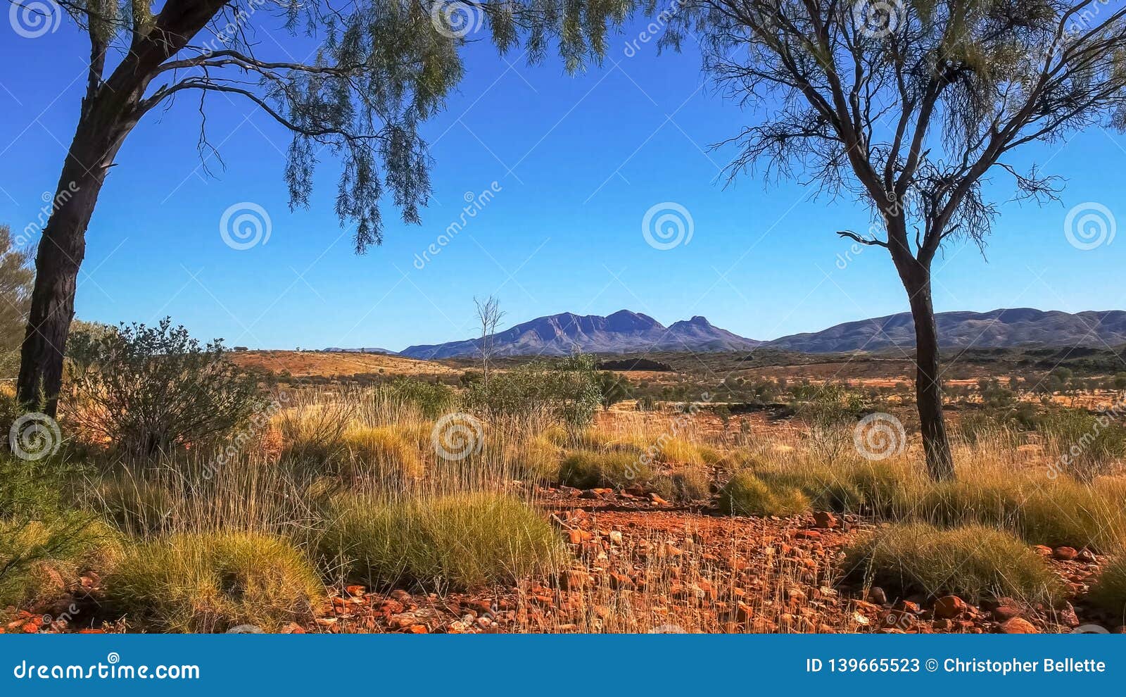 mount sonder in the west macdonnell ranges near alice springs framed by trees