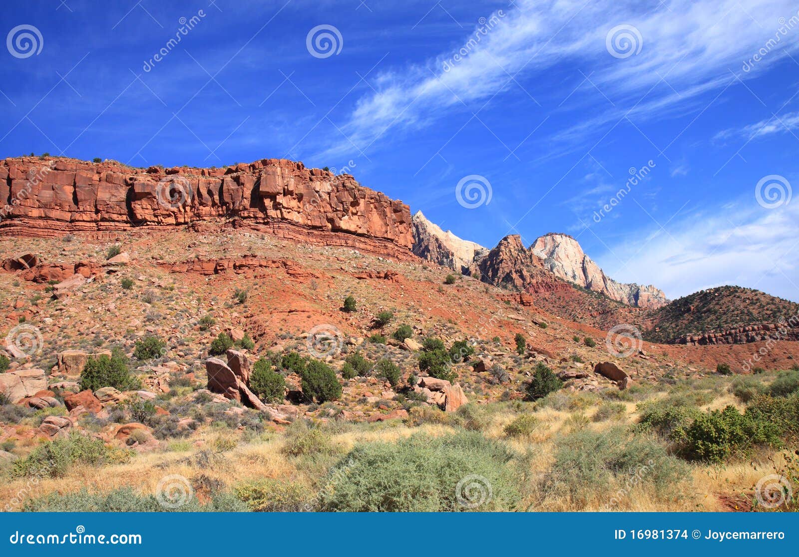 Mount Zion National Park stock photo. Image of panoramic 16981374
