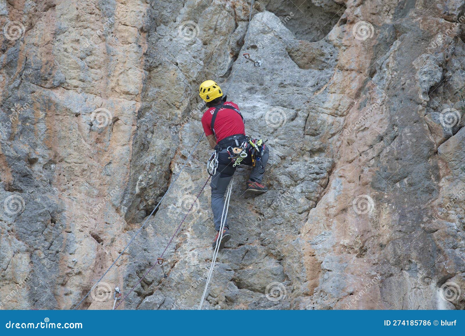 Mountain Accident Rescue Squad Setting the Ropes before Using a Stretcher Editorial Photo