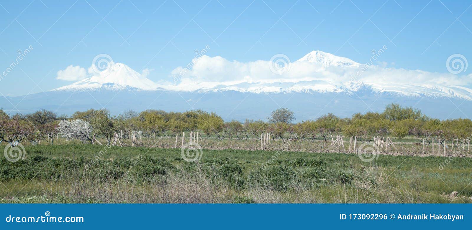 Mountain Ararat. View from Armenia Stock Photo Image of outdoor