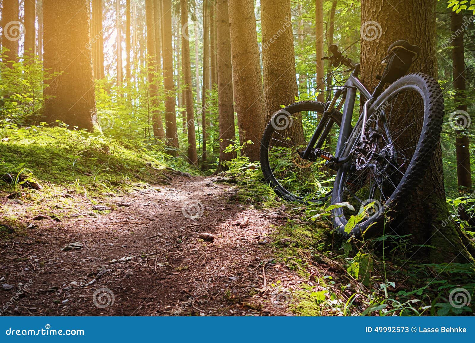 mountain bike