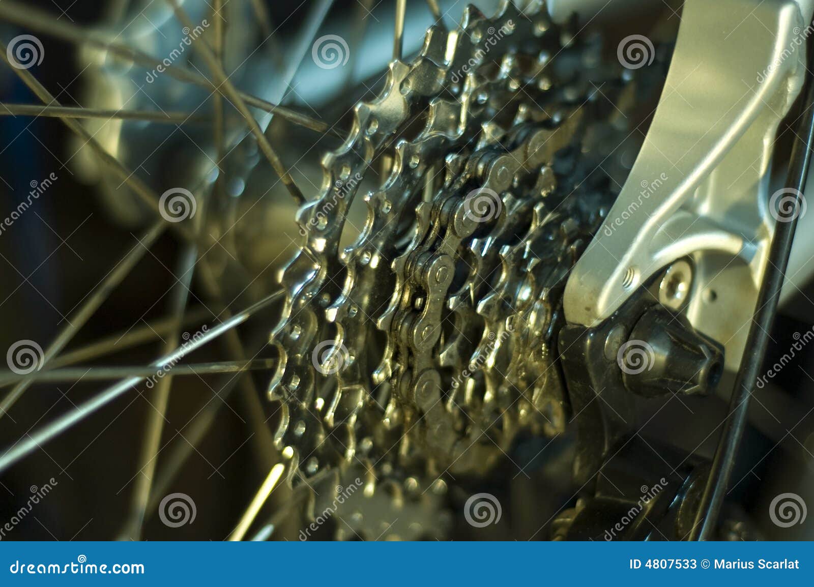 mountain bike detail