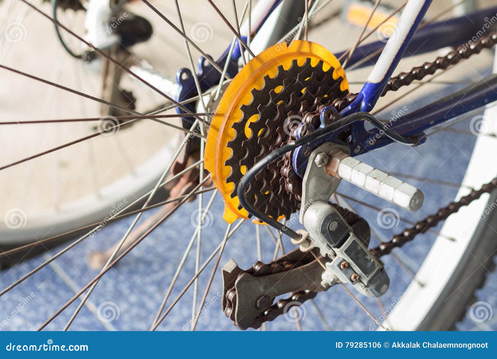 The Mountain Bike Gears Cassette Stock Photo Image of leisure, activity 79285106