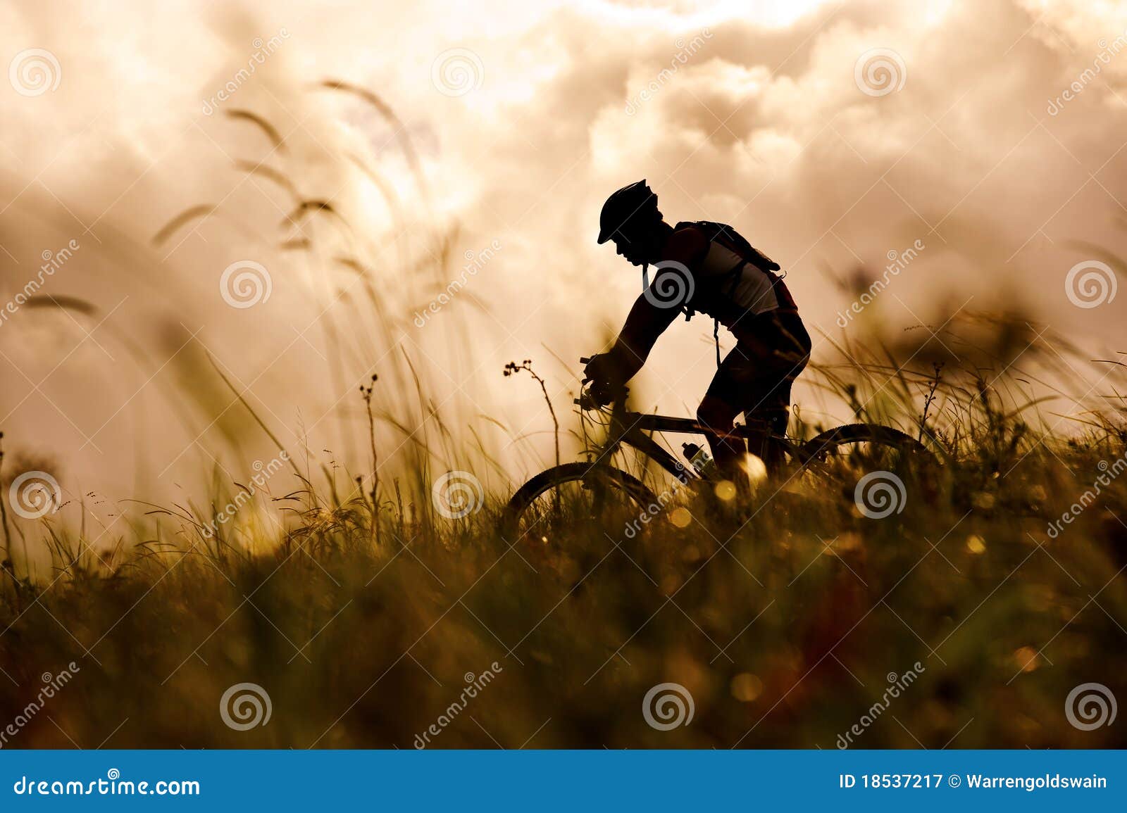 mountain bike man outdoors