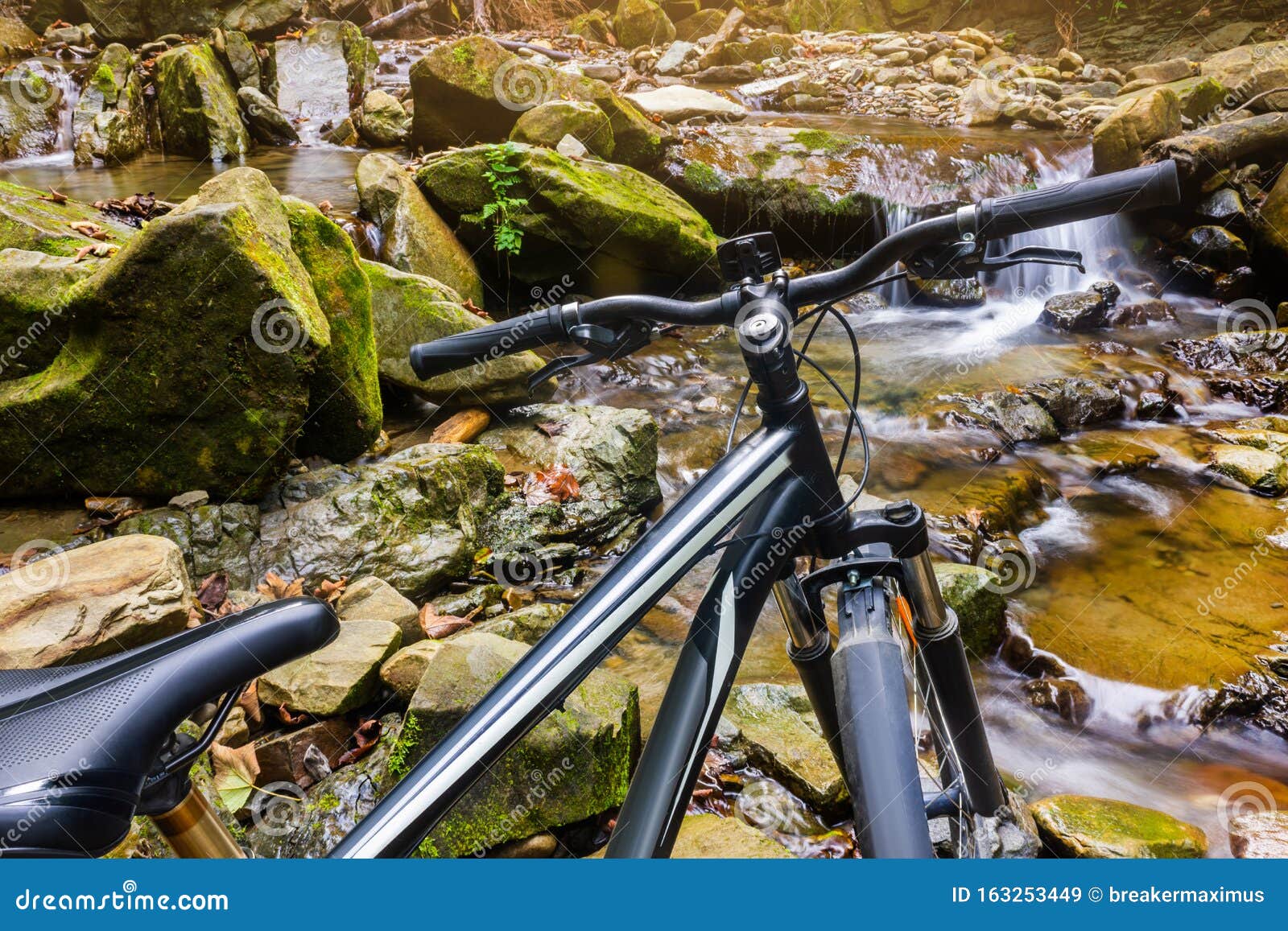 Mountain Bike Standing on a Forest River Stream Stock Image