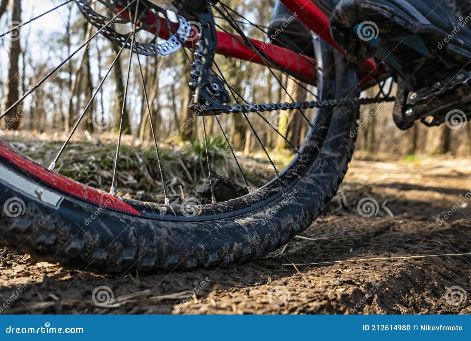 Mountain Bike Tyre Closeup on a Trail Stock Photo Image of active