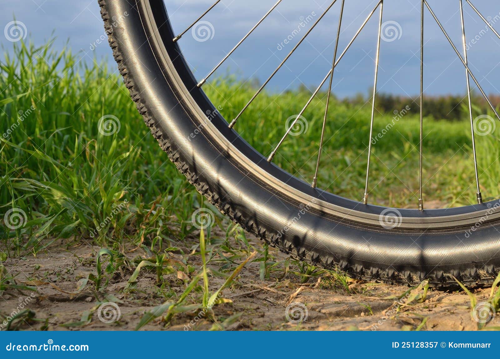 mountain bike wheel