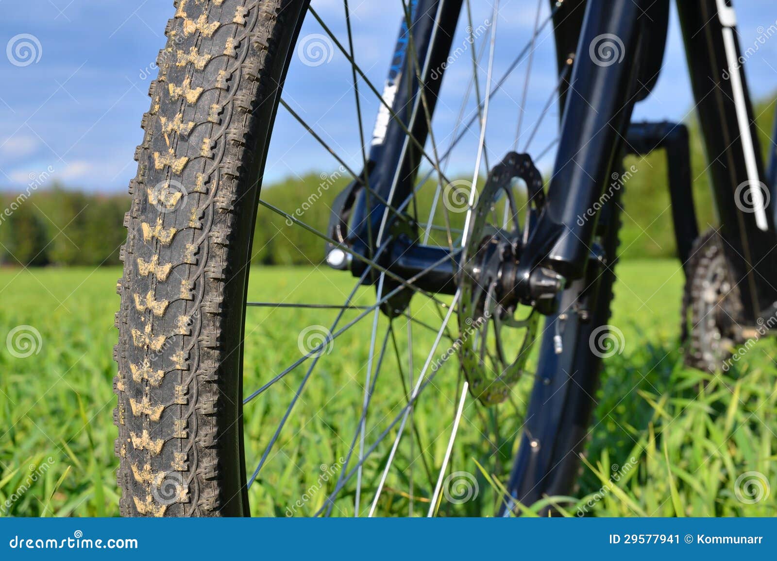 4,699 Bike Spokes Wheel Stock Photos - Free & Royalty-Free Stock Photos  from Dreamstime
