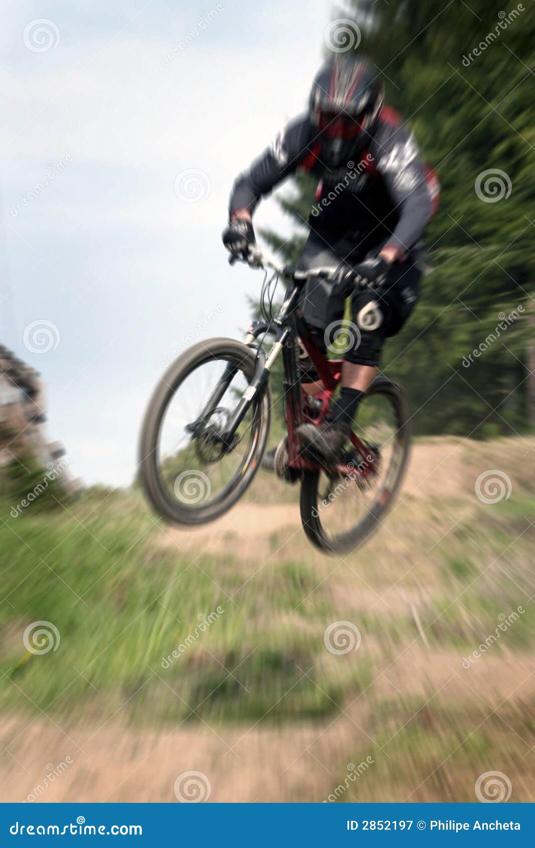zoom mountain bike