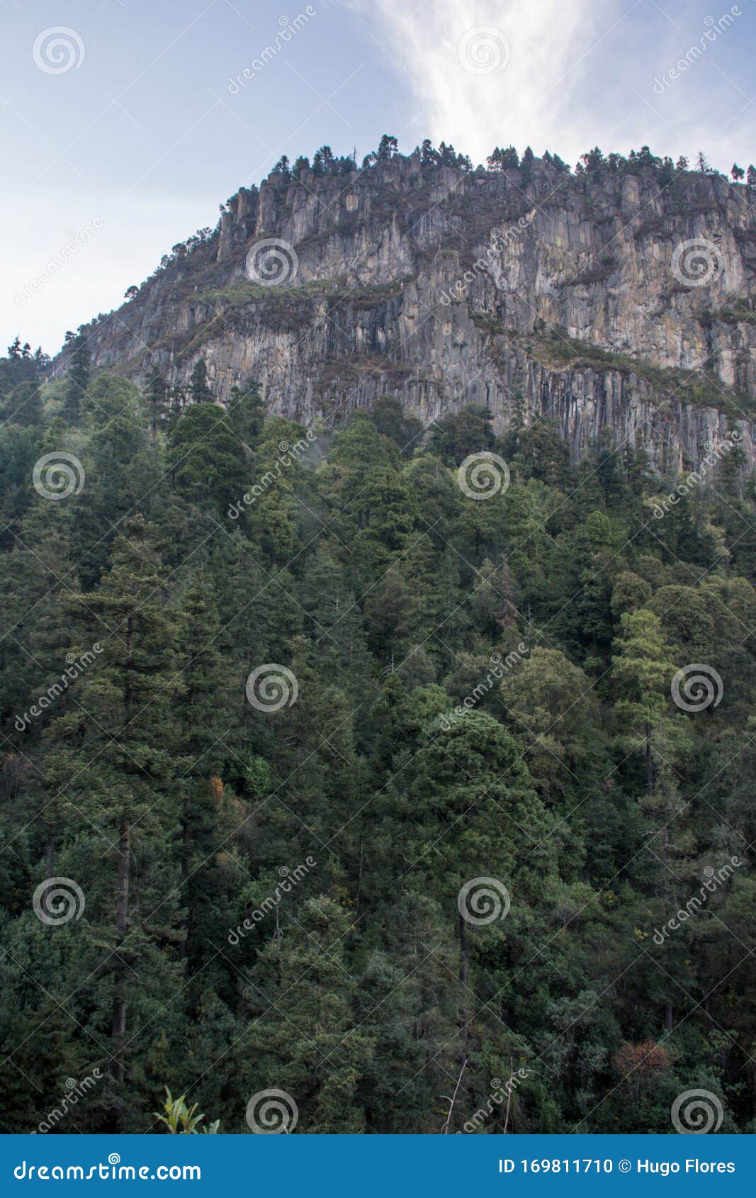 mountain and blue sky of a sunset in the forest in vertical