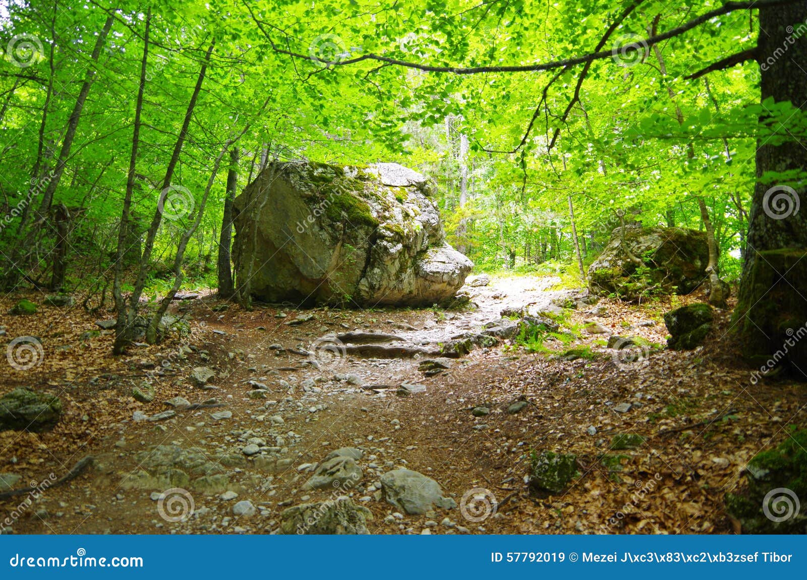 Mountain Clearing stock image. Image of mountain, outdoor 57792019