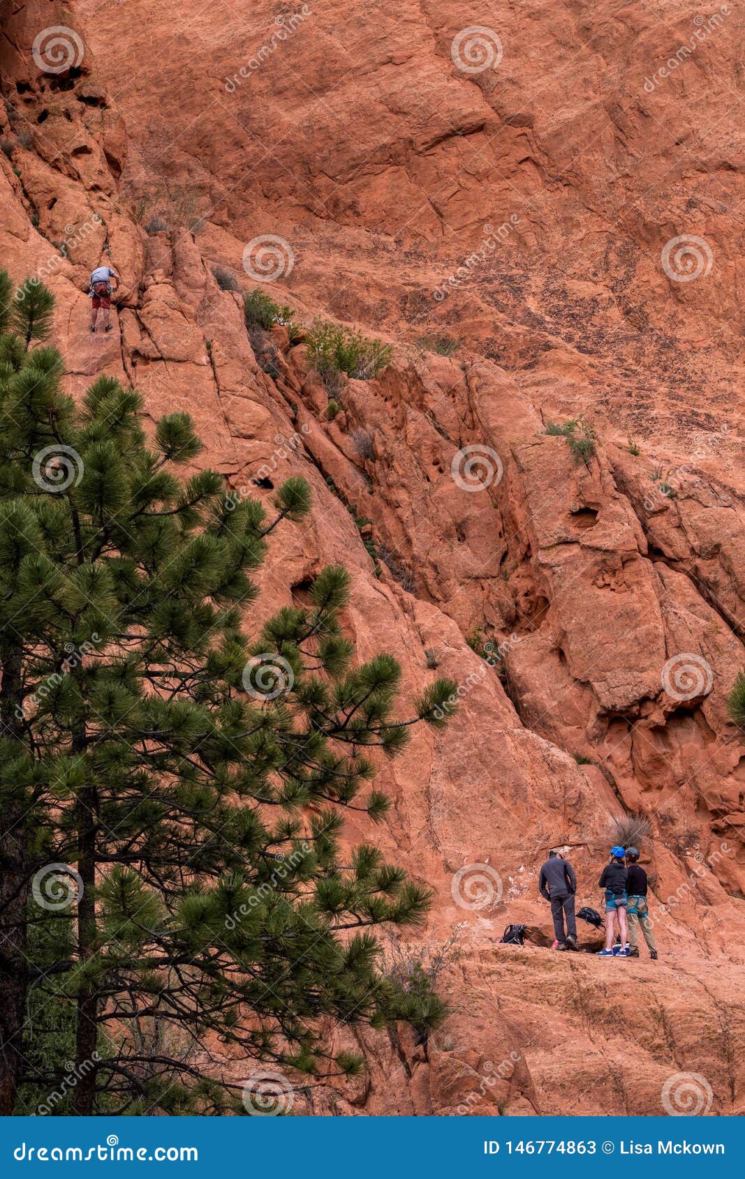 Mountain Climber Rock Climbing At Garden Of The Gods Colorado