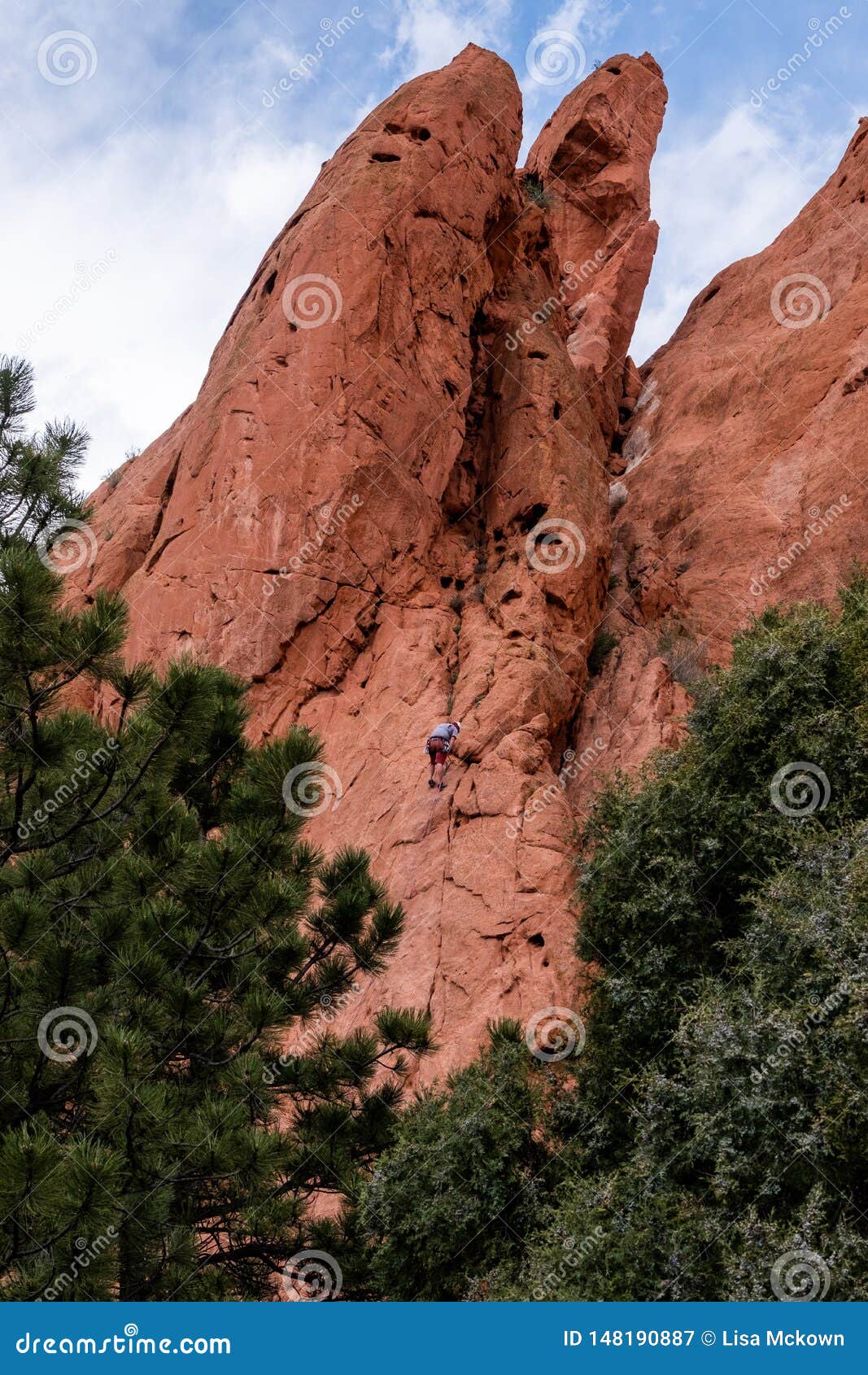Mountain Climber Rock Climbing At Garden Of The Gods Colorado