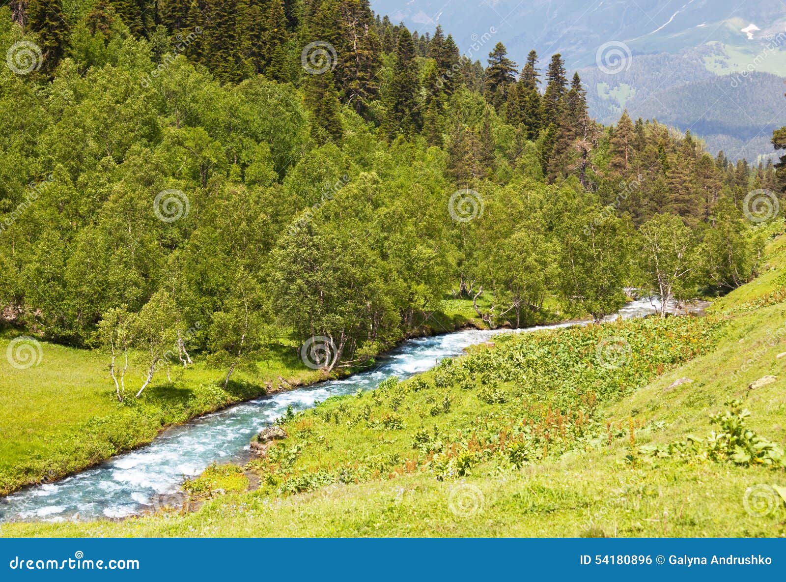 Mountain creek stock photo. Image of water, natural, mountain 54180896