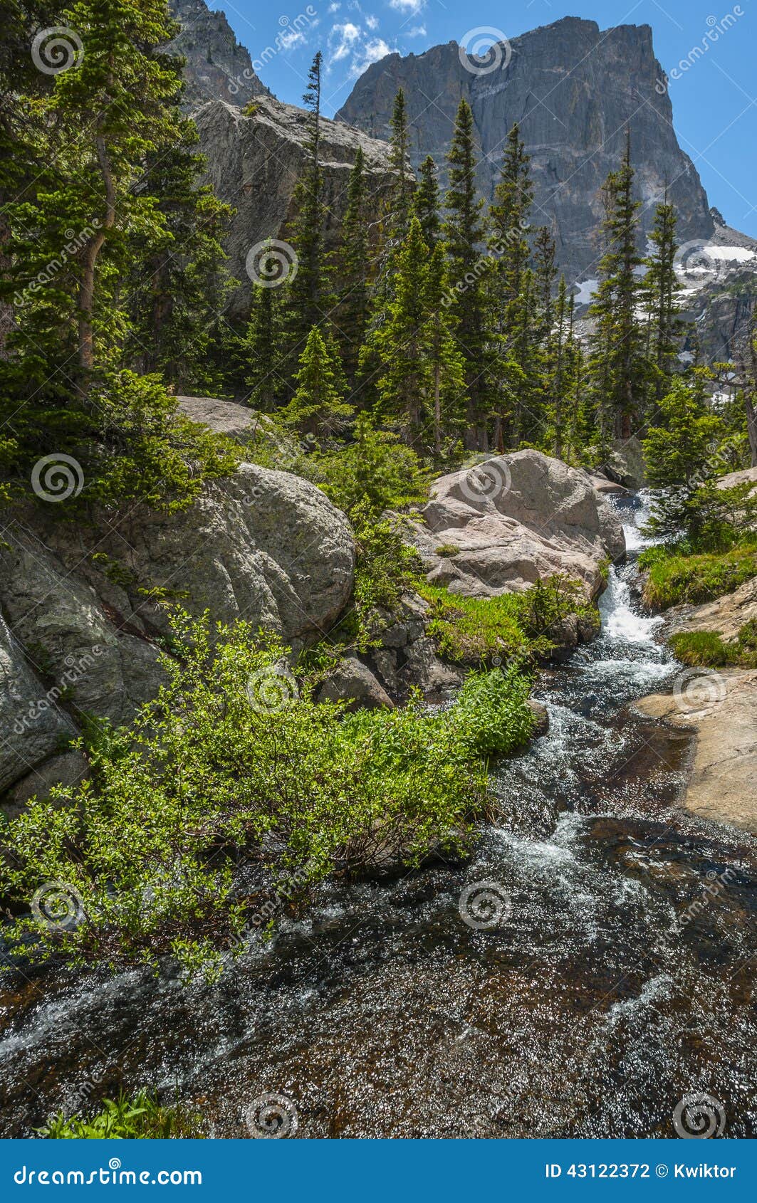 mountain creek with hallett peak in the background