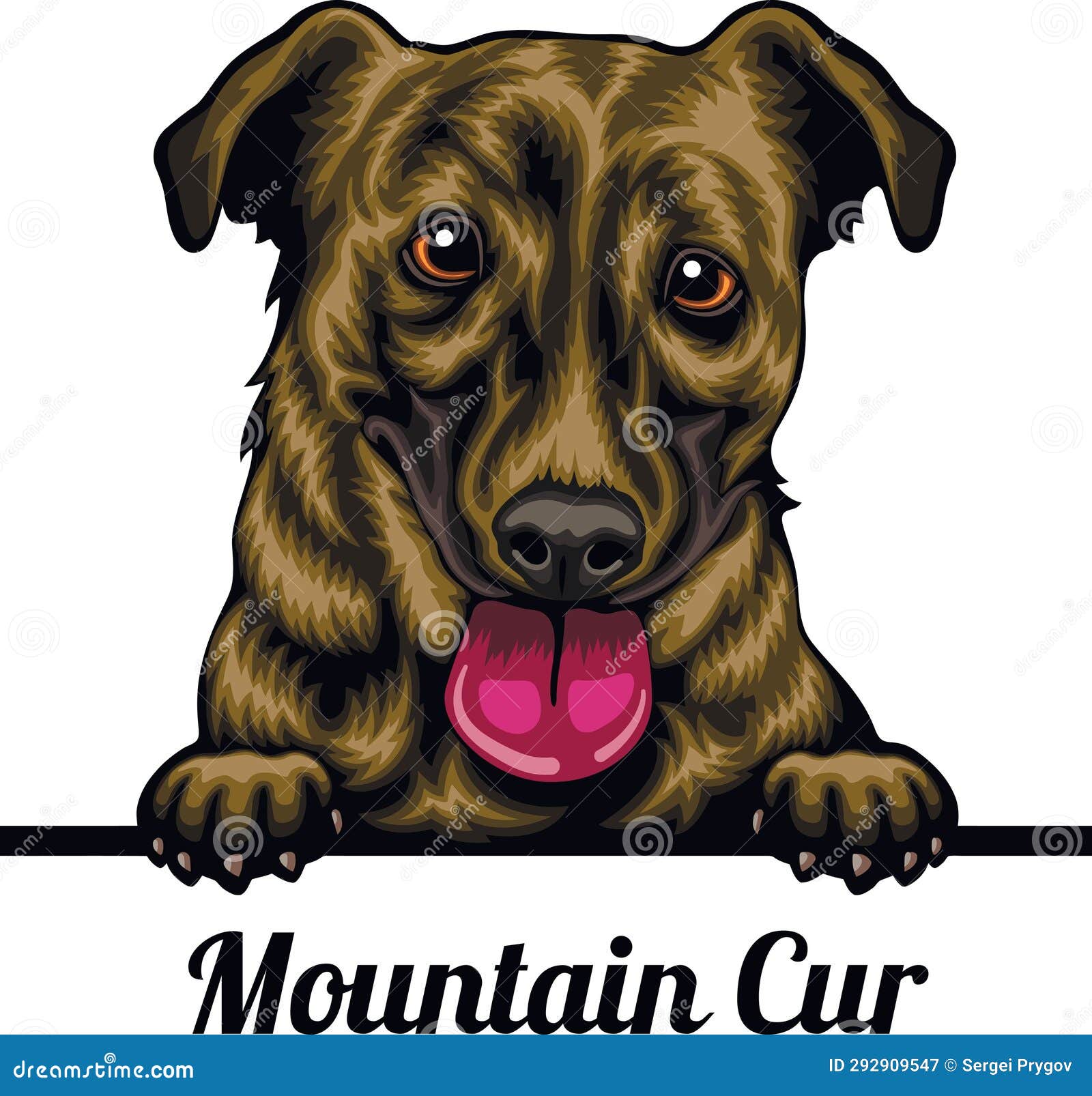Mountain Cur - Color Peeking Dogs - Breed Face Head Isolated on White ...