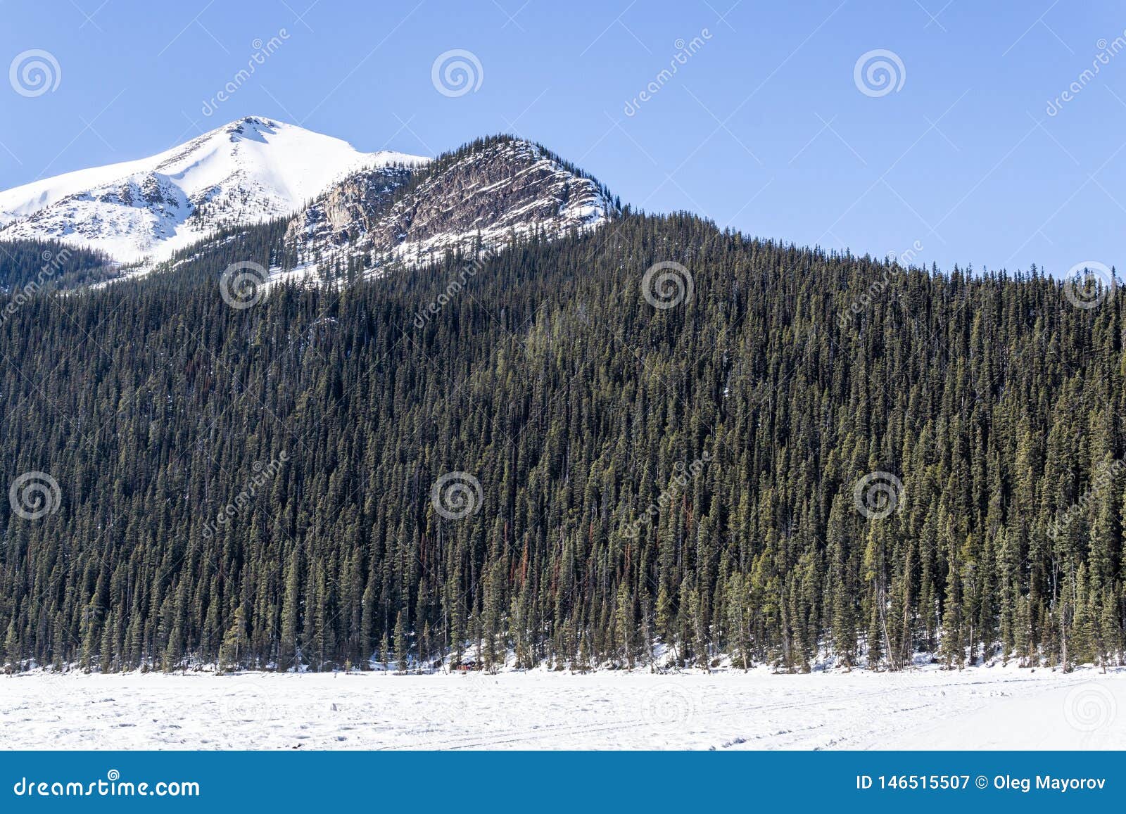 Mountain and Evergreen Forest Early Spring in Alberta Canada Stock