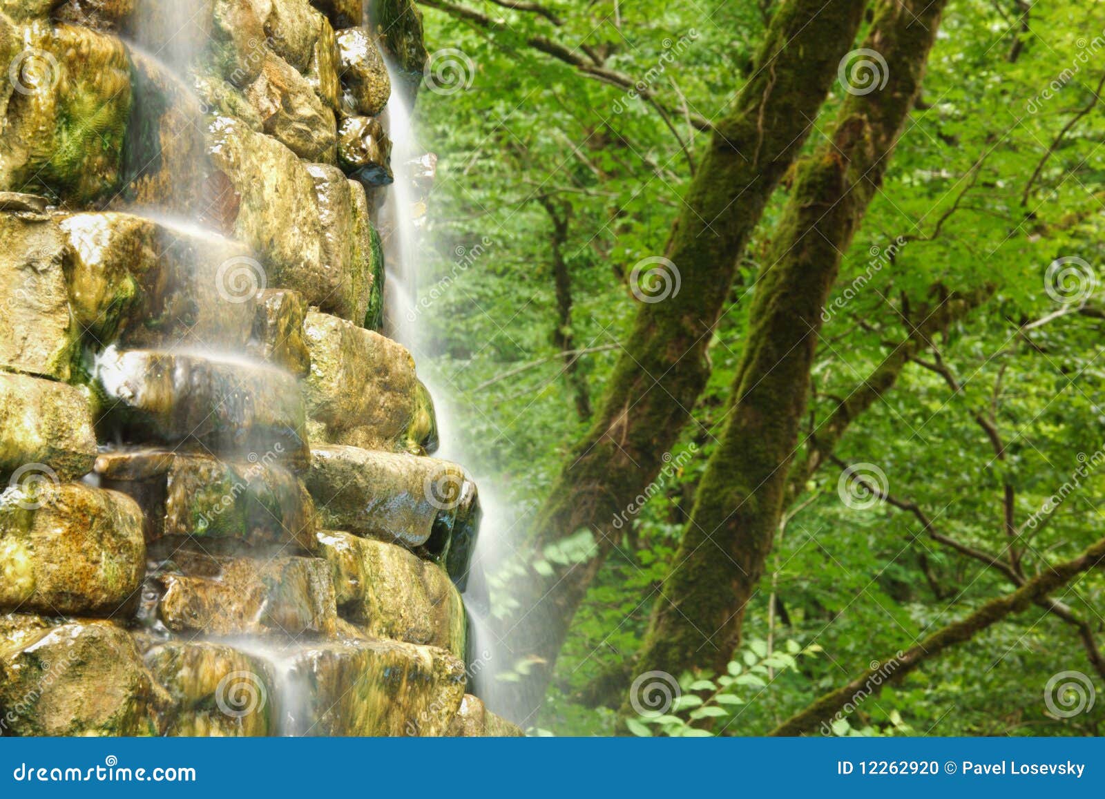 Mountain falls in wood stock photo. Image of peaceful 12262920