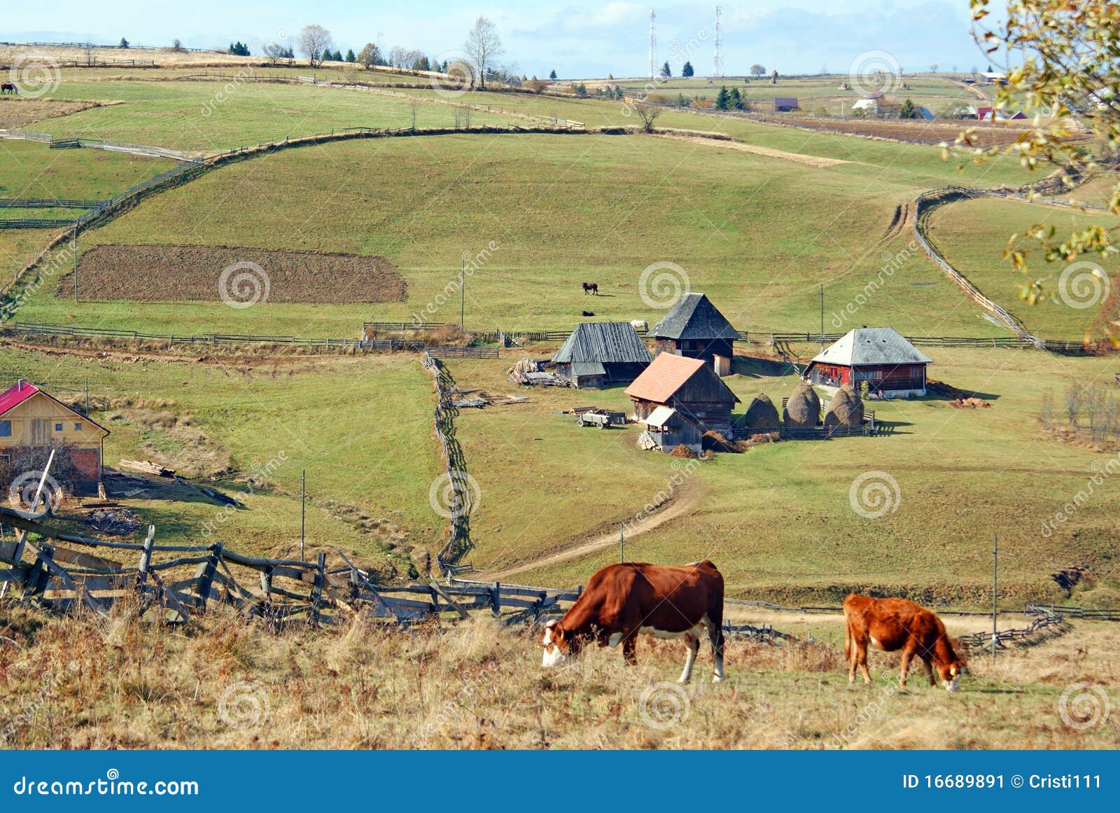 Mountain farm stock image. Image of craftsmanship, meadow 16689891