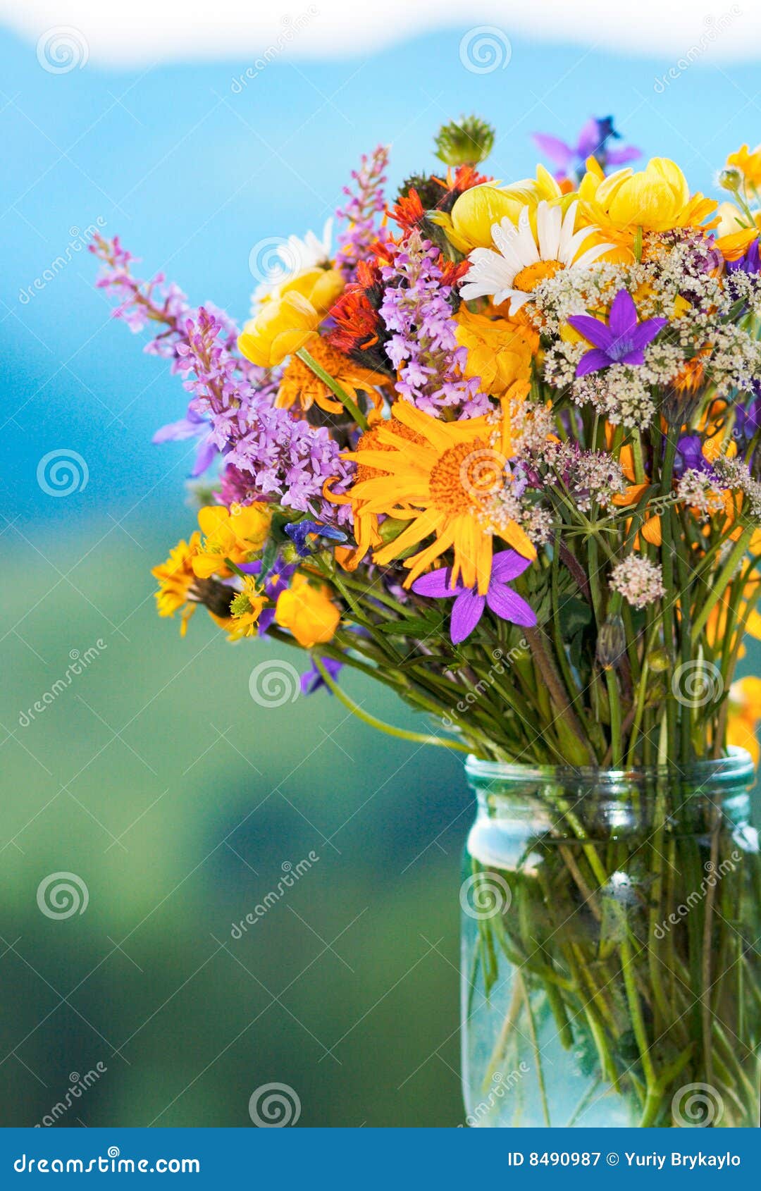 Mountain flowers bouquet stock image. Image of camomile 8490987