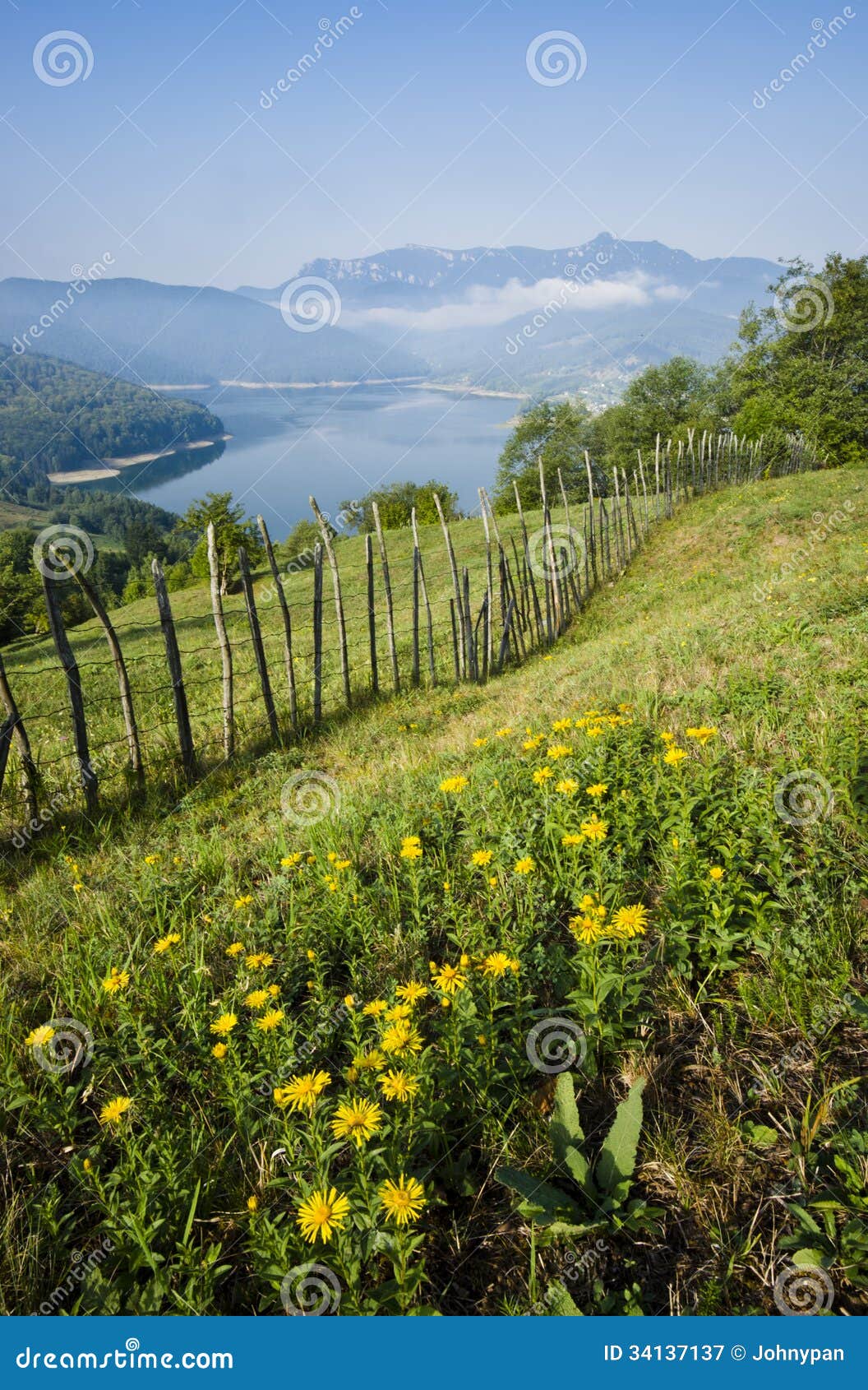 Mountain flowers with lake stock image. Image of blossom 34137137