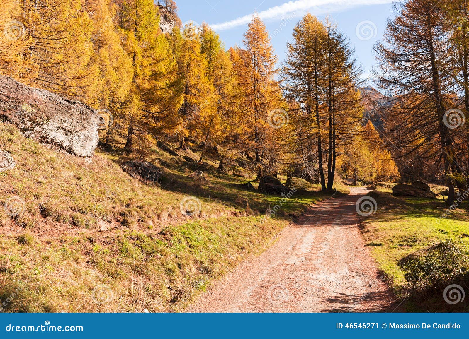 mountain forest in autumn season