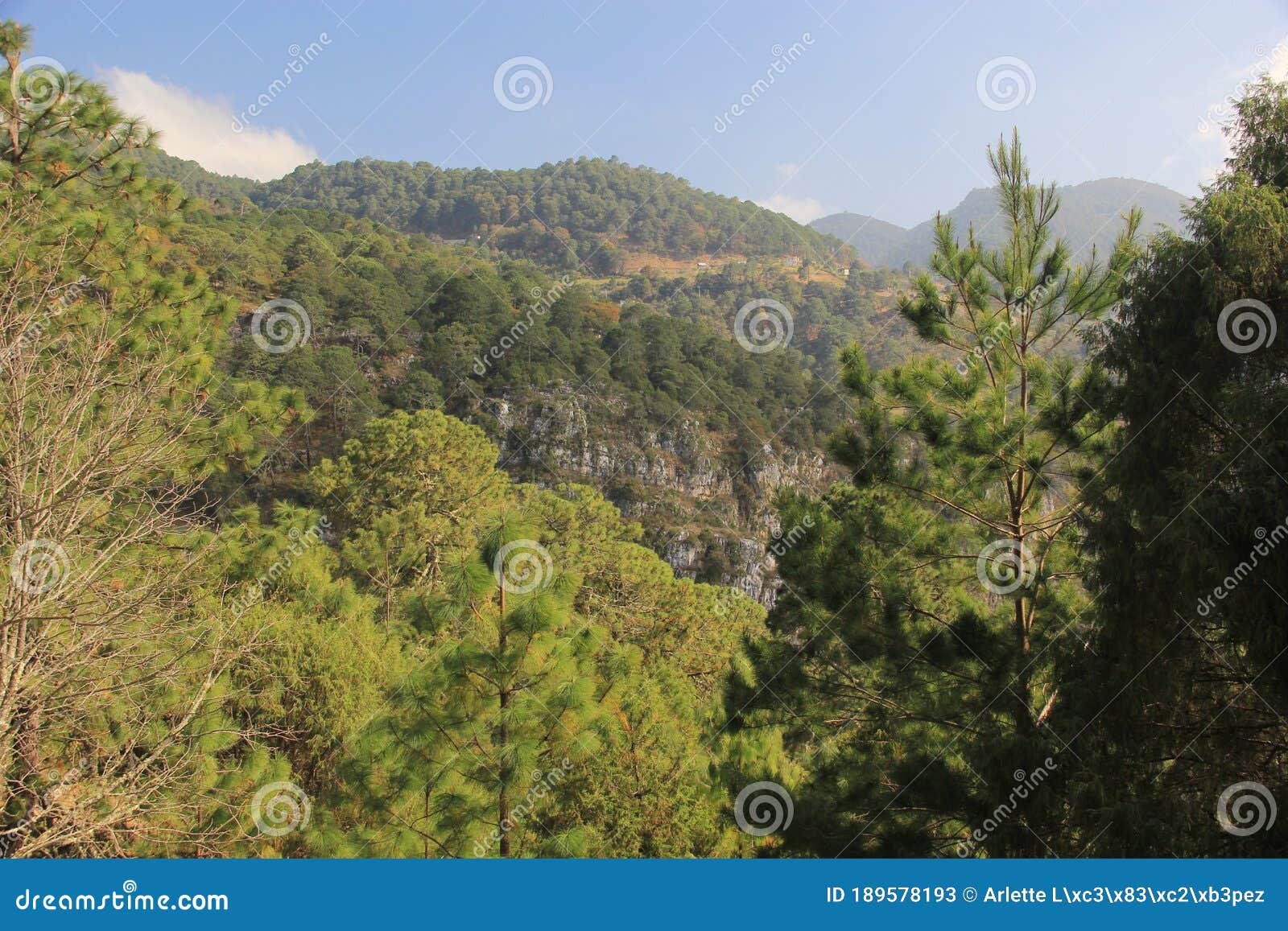 mountain and forest landscape inside los marmoles natural park in zimapan hidalgo mexico