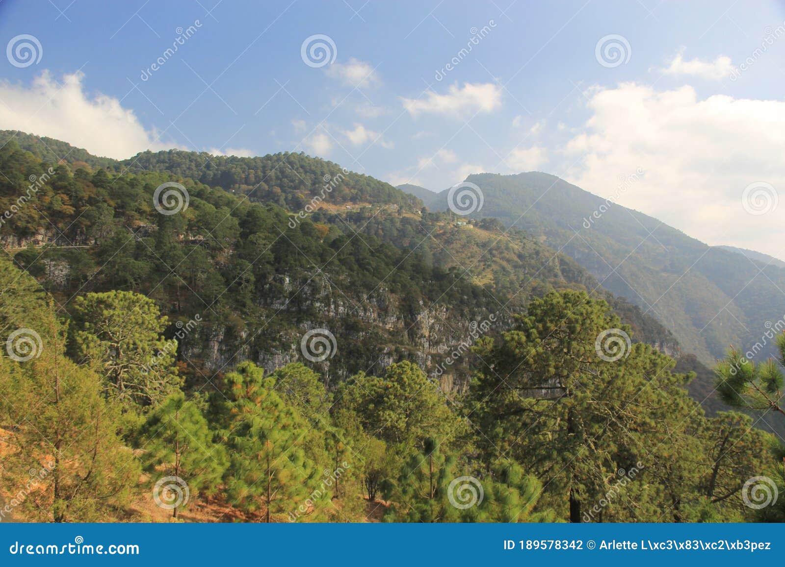 mountain and forest landscape inside los marmoles natural park in zimapan hidalgo mexico