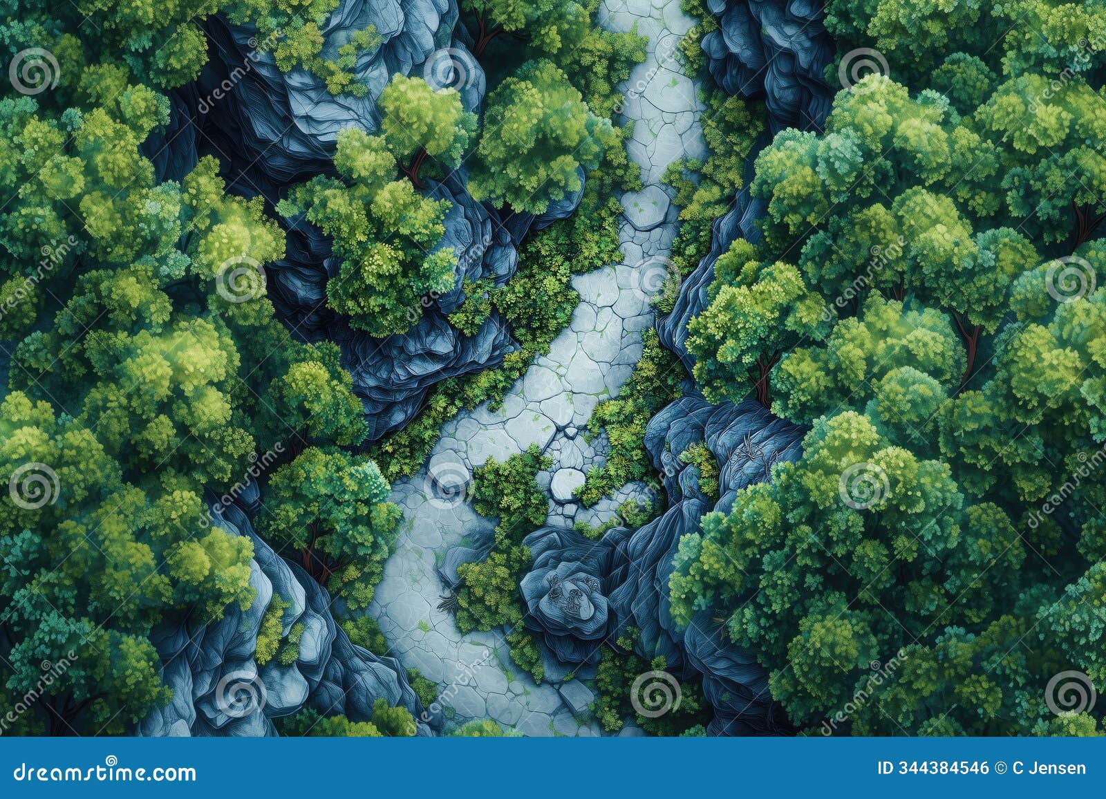 mountain forest path rpg map - wilderness valley road battlemap for fantasy tabletop, adventure encounters, ttrpg game 