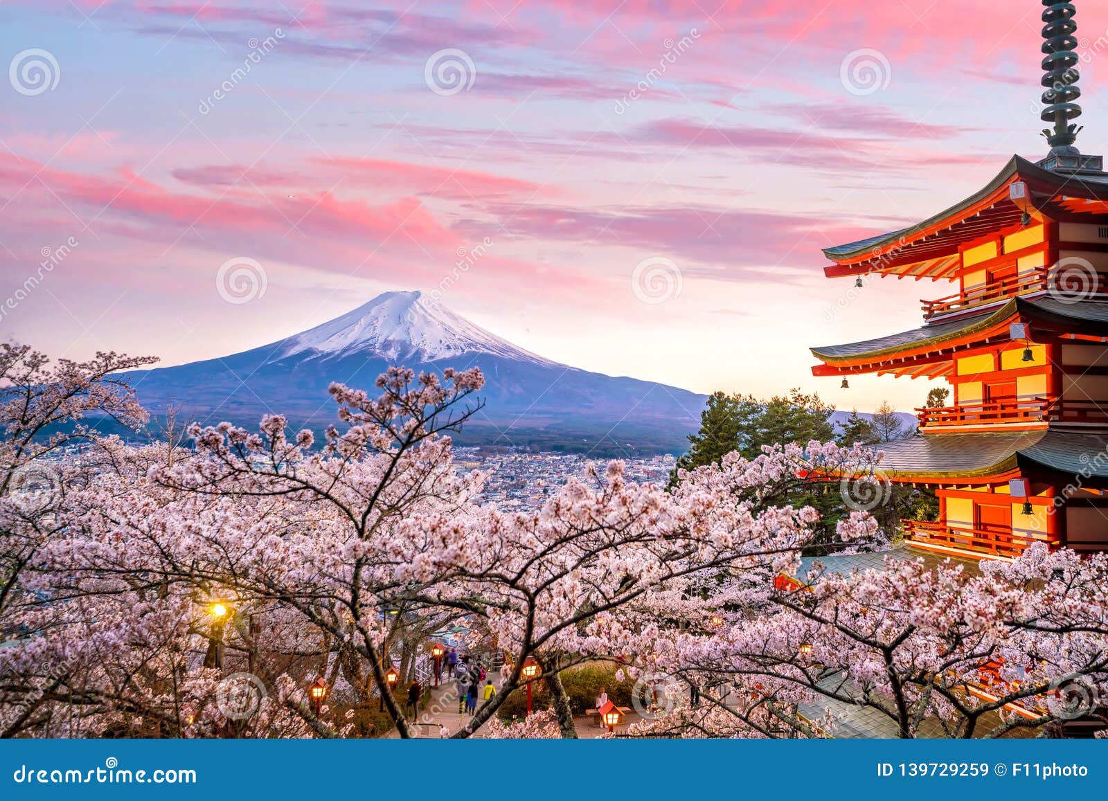 mountain fuji and chureito red pagoda with cherry blossom sakura