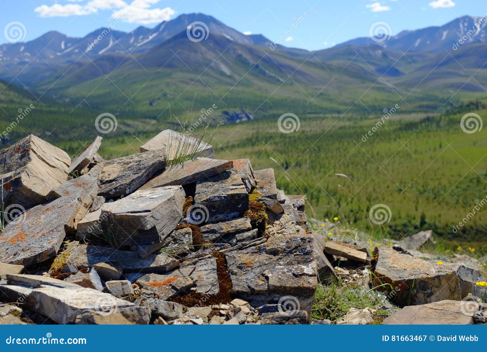 mountain of ivvavik national park