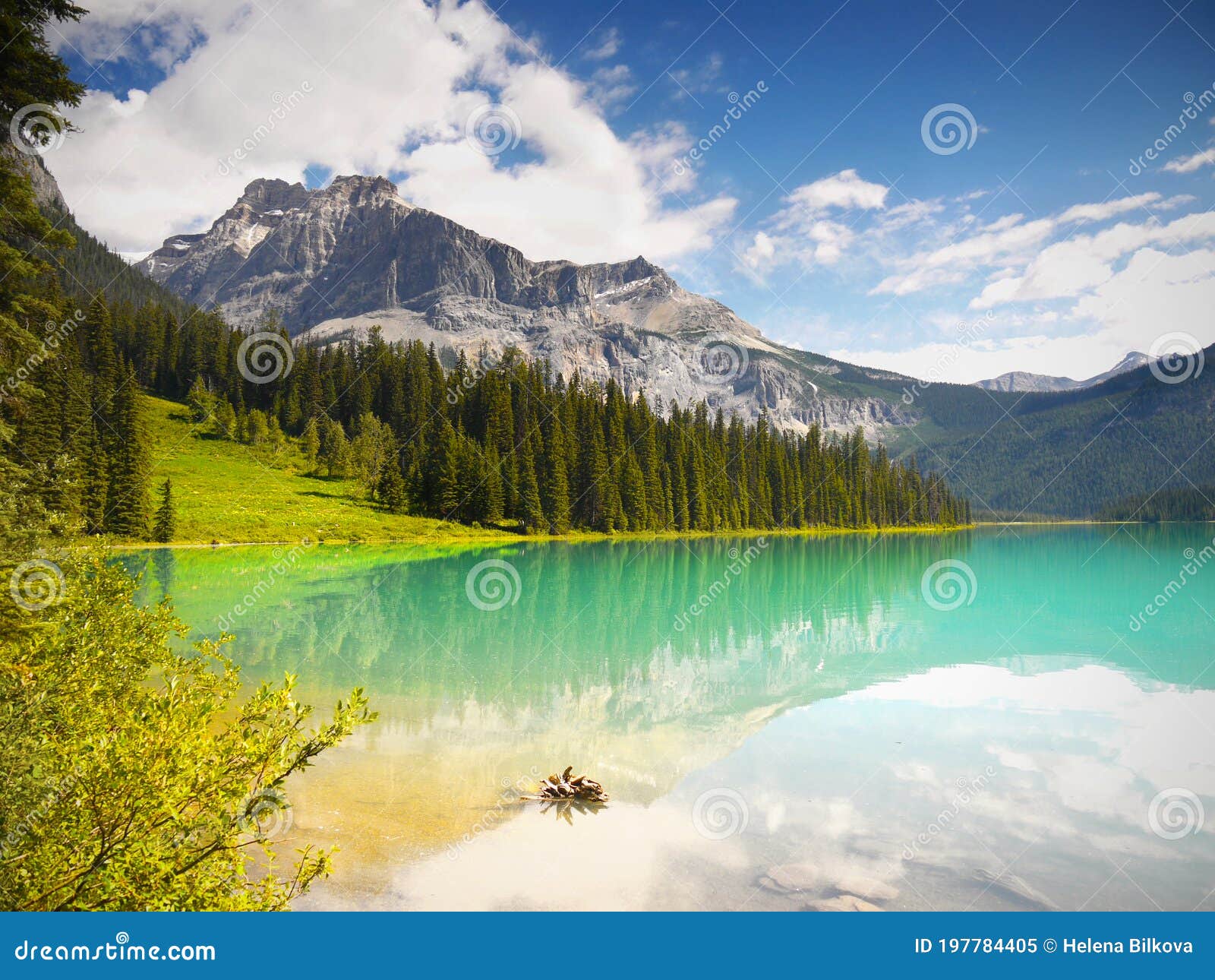 94,873 Nature Scenery Canada Stock Photos - Free & Royalty-Free Stock  Photos from Dreamstime