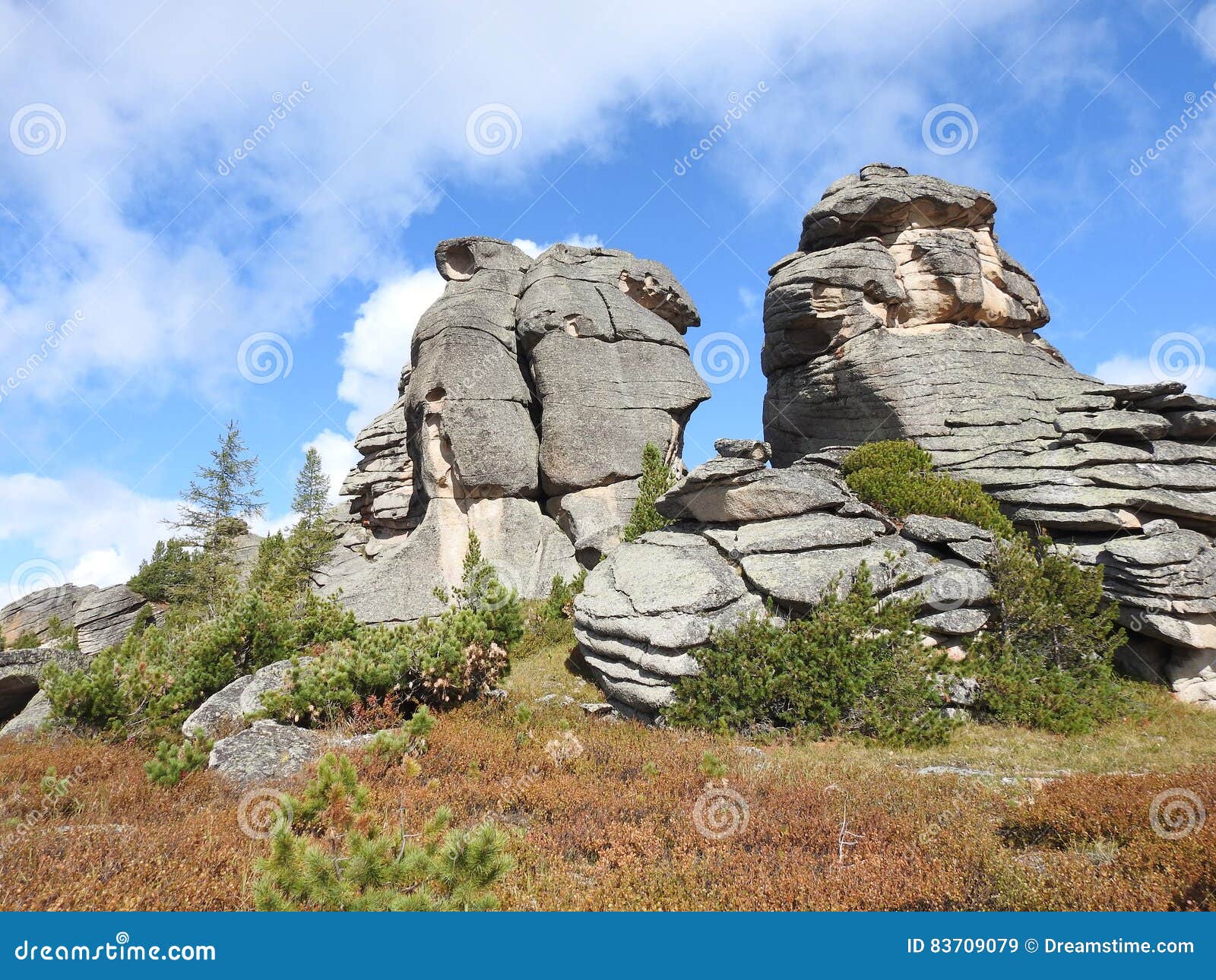 Mountain landscape. Altai Mountains, the place `` Stone fairy tale. `Very nice place! Clean mountain air.