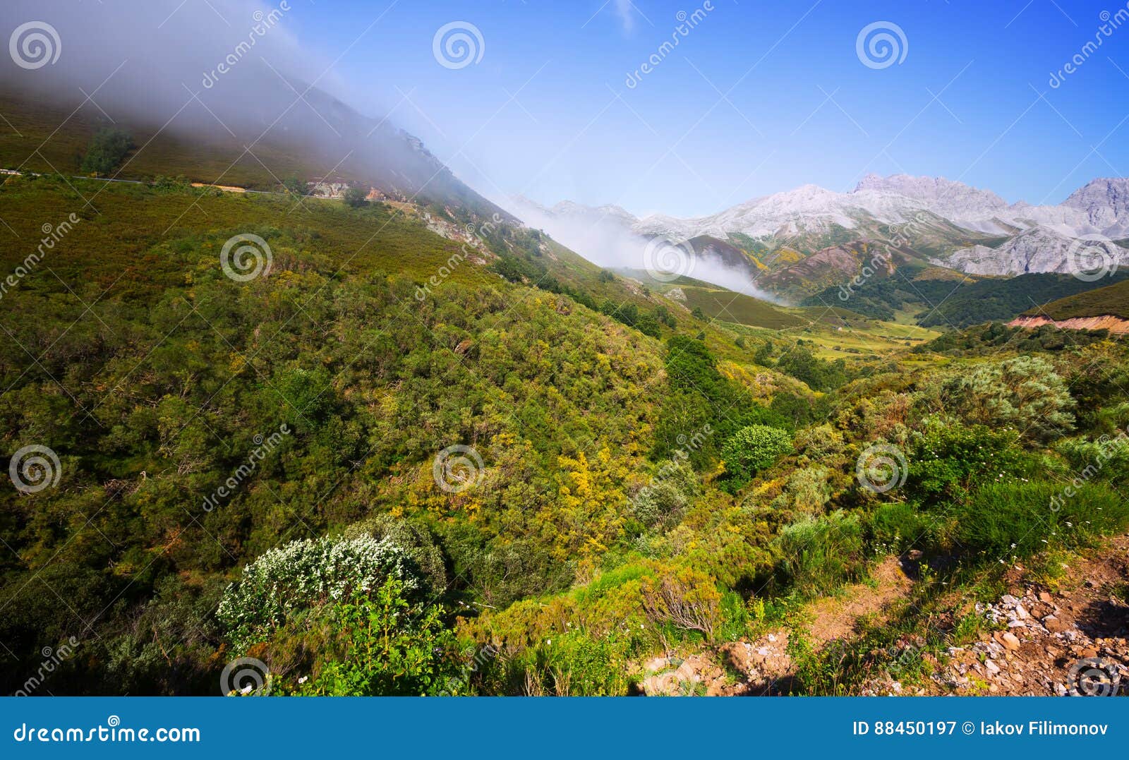 mountain landscape with fog in summe