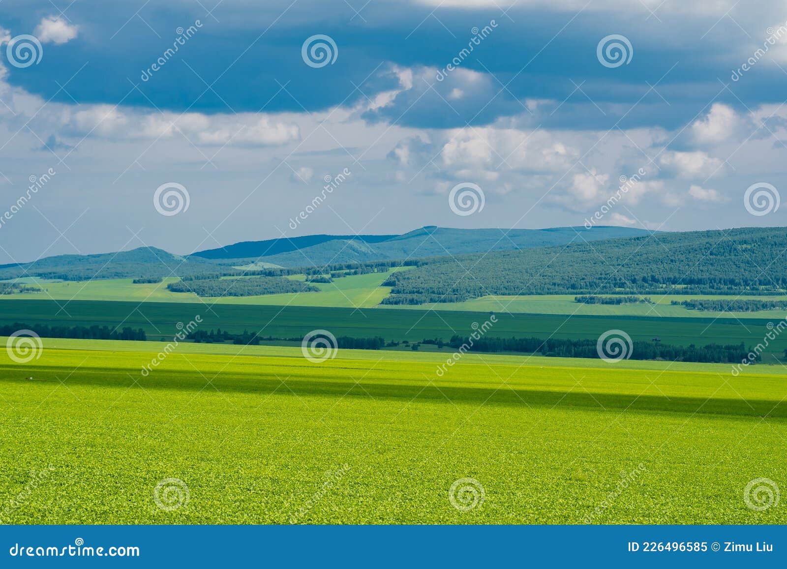 the mountain landscape of greater khingan mountain